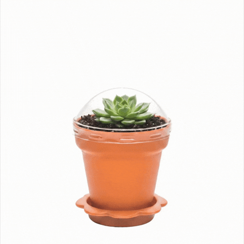 Mini Serve 6 oz Terracotta Plastic Mini Flower Pot Cup - with Lid - 3" x 3" x 3" - 100 count box