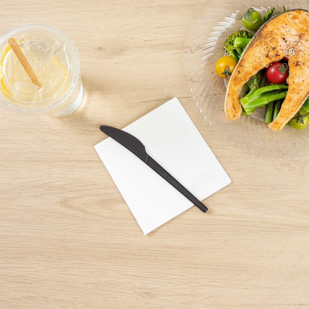 Basic Nature Black CPLA Plastic Knife - Heat-Resistant, Compostable - 6 1/2" x 1/2" - 250 count box