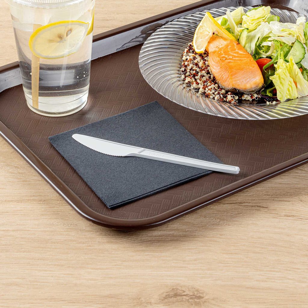 Basic Nature White CPLA Plastic Knife - Heat-Resistant, Compostable - 6 1/2" x 1/2" - 50 count box