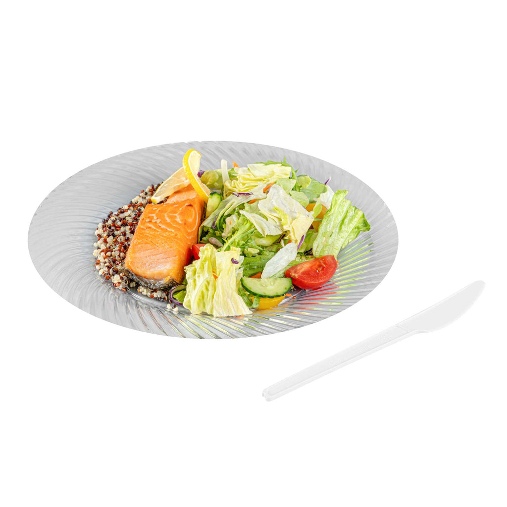 Basic Nature White CPLA Plastic Knife - Heat-Resistant, Compostable - 6 1/2" x 1/2" - 250 count box