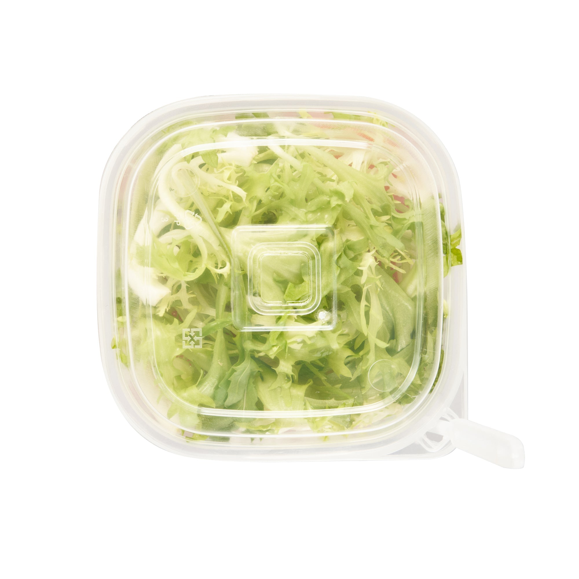 Asporto 17 oz Clear Plastic Salad To Go Cup - with Clear Lid and Fork - 3 1/2" x 3 1/2" x 4" - 100 count box