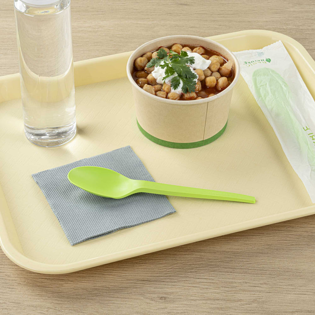 Basic Nature Green CPLA Plastic Spoon - Compostable Wrapper, Heat-Resistant - 6 1/2" - 250 count box