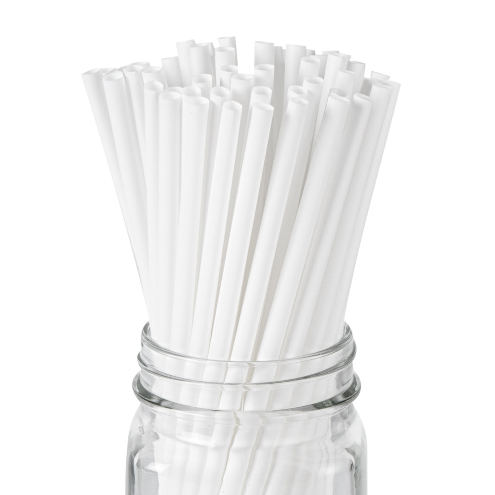 Basic Nature White PLA / PBAT Plastic Straw - Compostable - 8 1/4" - 100 count box