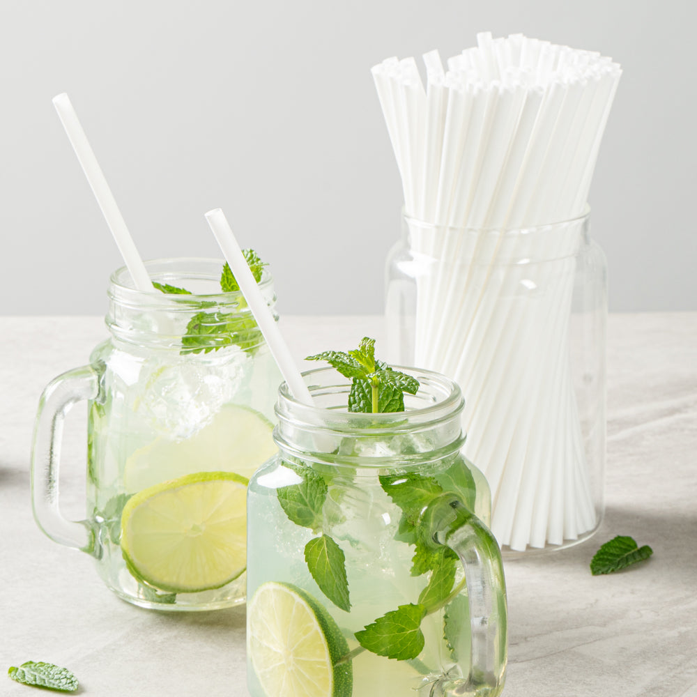 Basic Nature White PLA / PBAT Plastic Straw - Compostable - 8 1/4" - 100 count box