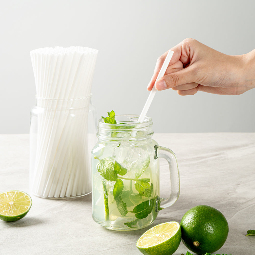 Basic Nature White PLA / PBAT Plastic Straw - Compostable - 8 1/4" - 100 count box