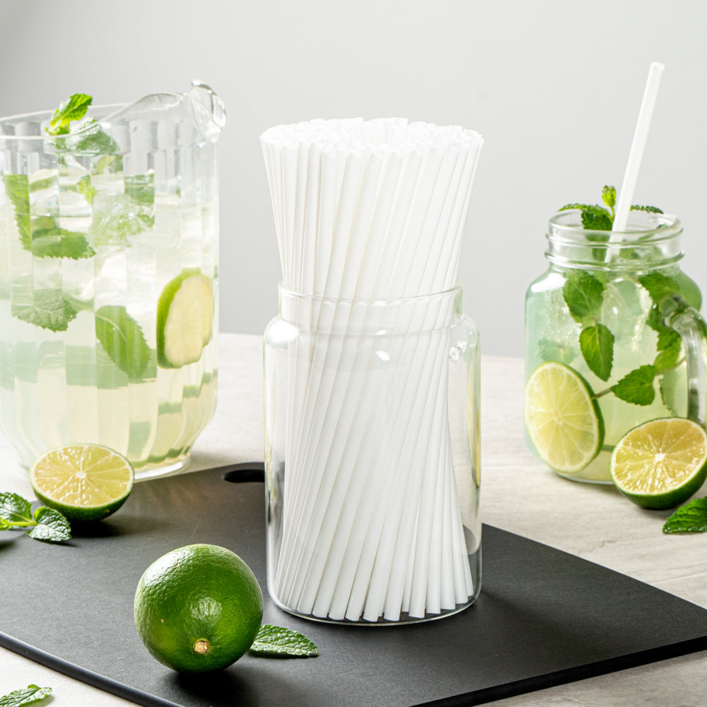 Basic Nature White PLA / PBAT Plastic Straw - Compostable - 8 1/4" - 100 count box