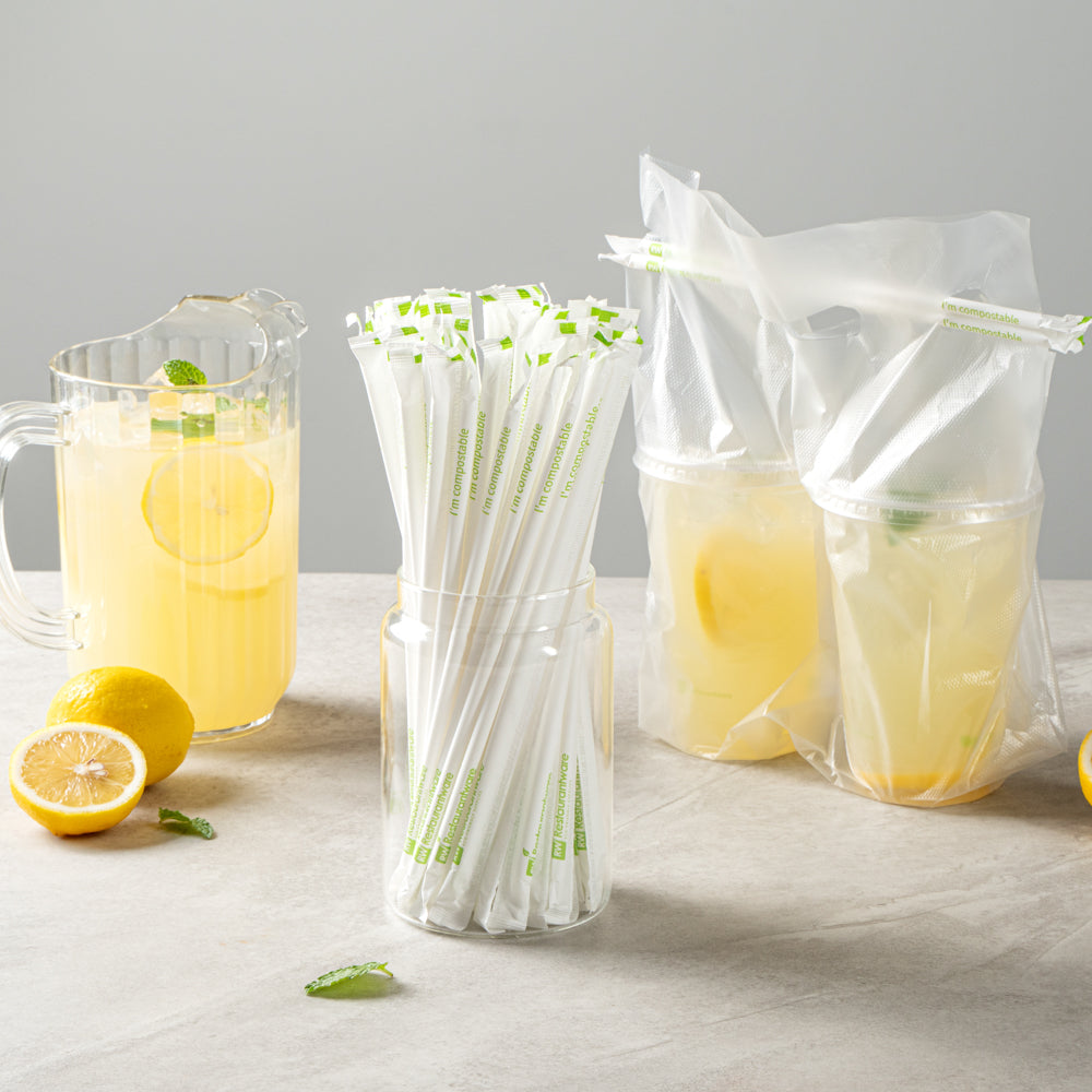 Basic Nature White PLA / PBAT Plastic Straw - Wrapped, Compostable - 8 1/4" - 100 count box