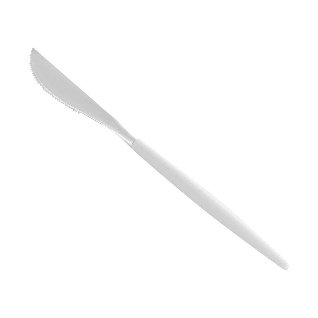 Moderna Silver Plastic Knife - with White Handle - 7 3/4" - 50 count box