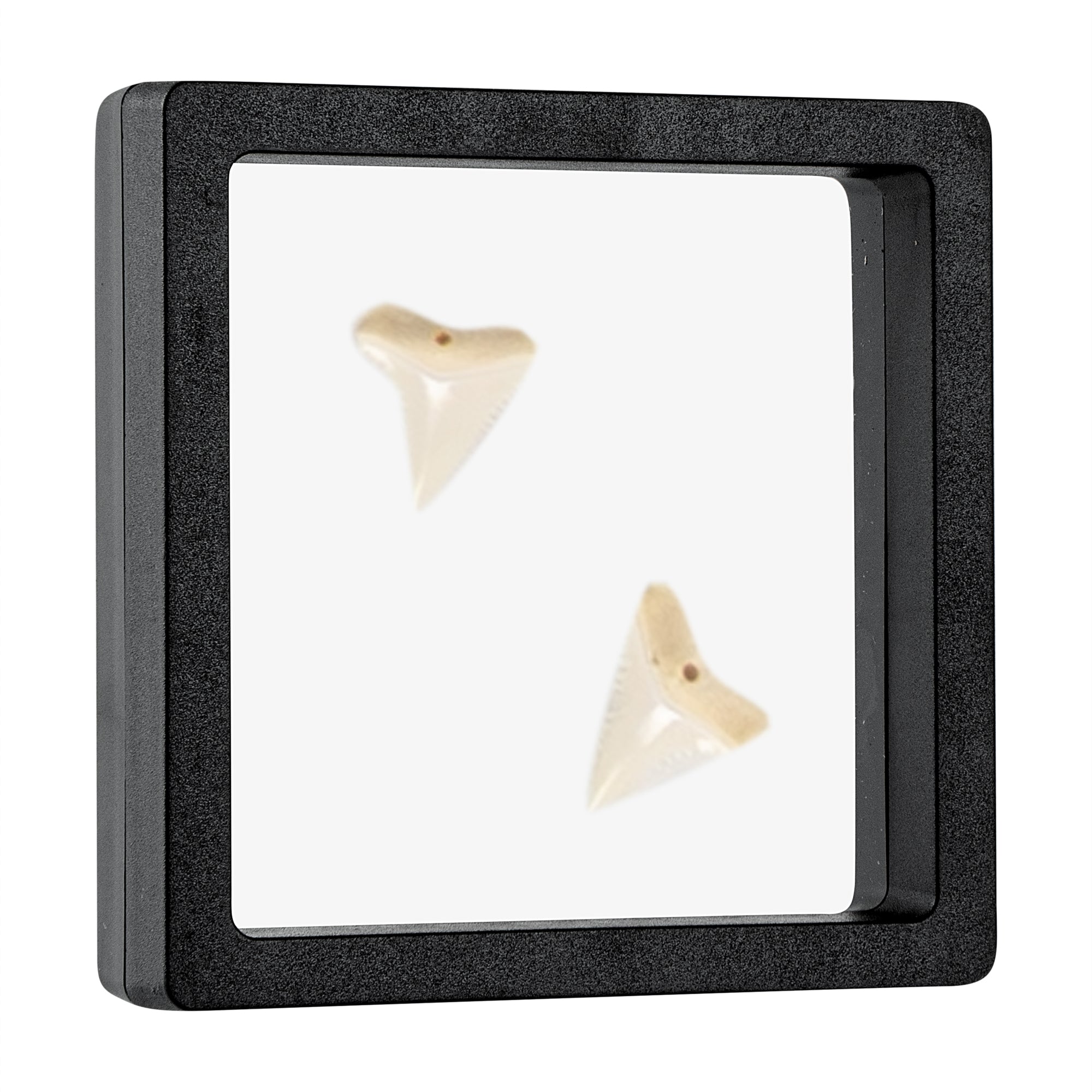 Display Tek Square Black Plastic 3D Floating Display Case - 3 1/2" x 3 1/2" x 3/4" - 10 count box