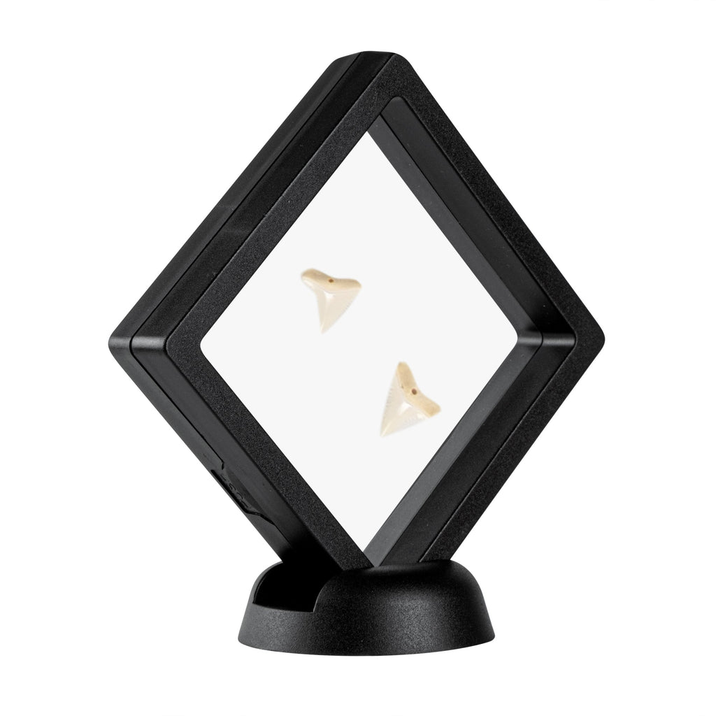 Display Tek Square Black Plastic 3D Floating Display Case - 3 1/2" x 3 1/2" x 3/4" - 10 count box