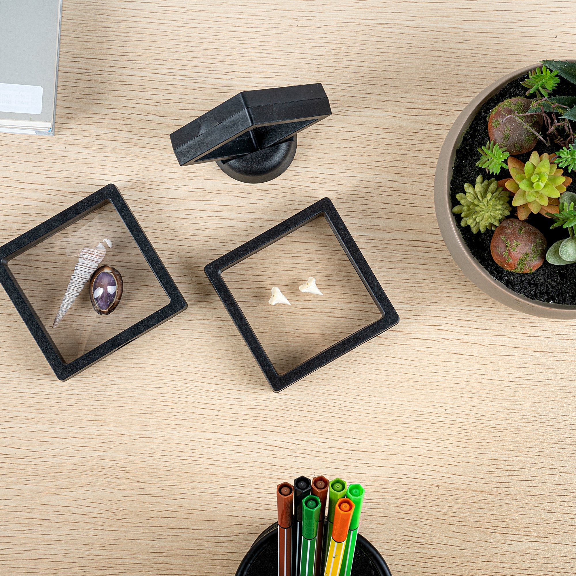 Display Tek Square Black Plastic 3D Floating Display Case - 3 1/2" x 3 1/2" x 3/4" - 10 count box