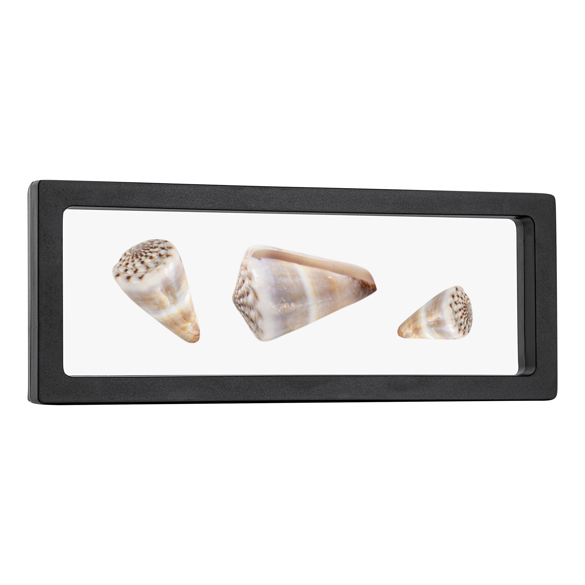 Display Tek Rectangle Black Plastic 3D Floating Display Case - 9" x 3 1/2" x 3/4" - 10 count box