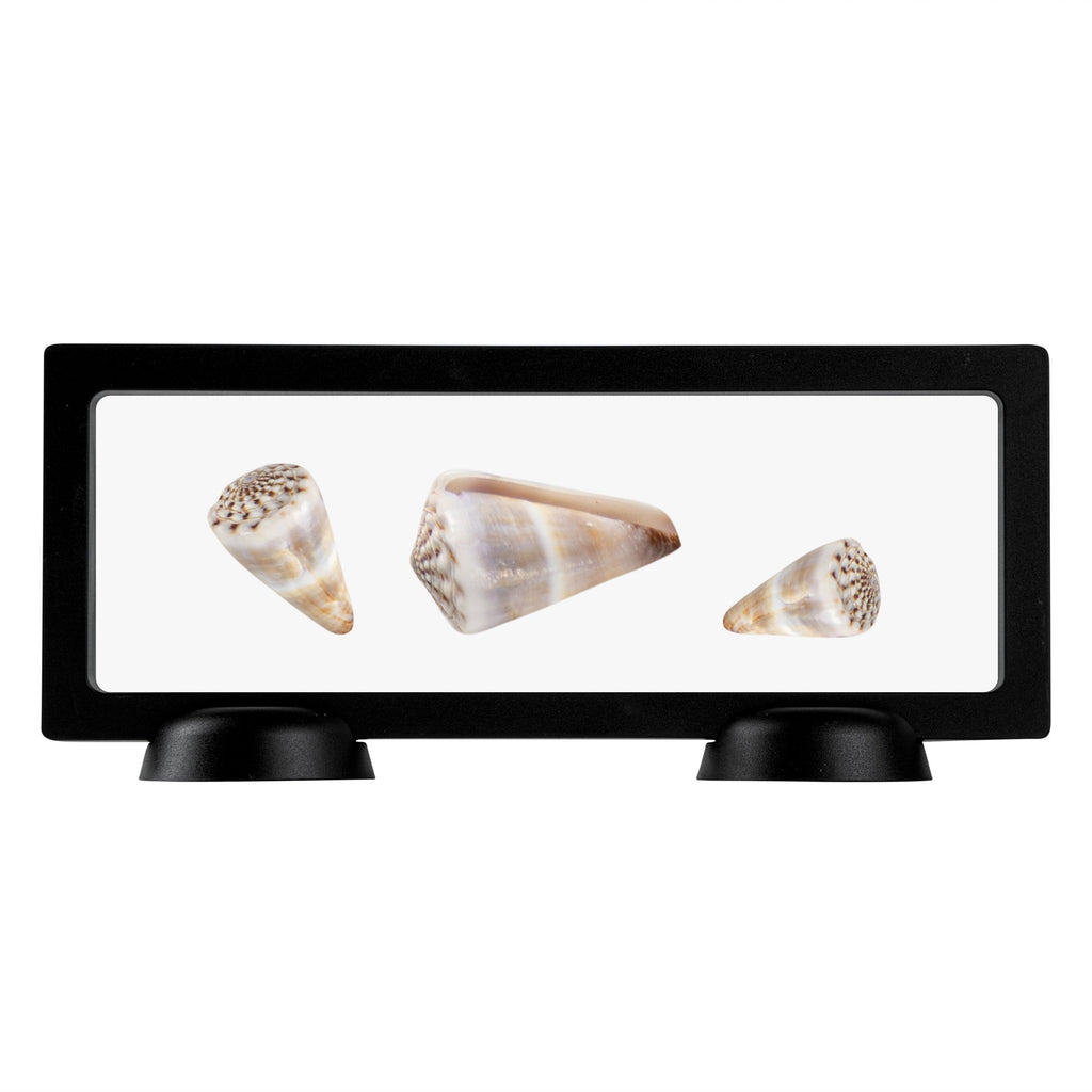 Display Tek Rectangle Black Plastic 3D Floating Display Case - 9" x 3 1/2" x 3/4" - 10 count box