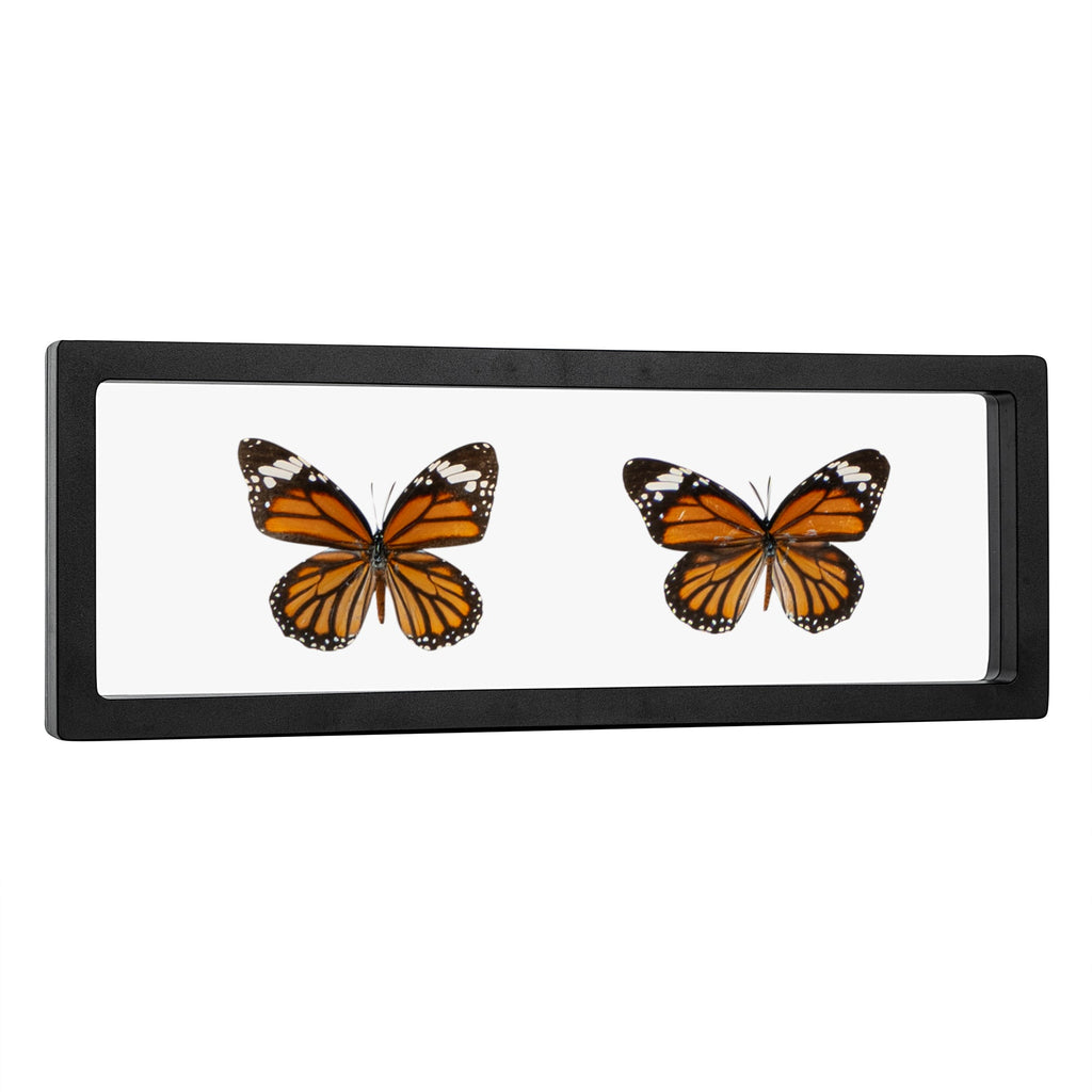 Display Tek Rectangle Black Plastic 3D Floating Display Case - 11 3/4" x 4 1/4" x 3/4" - 10 count box