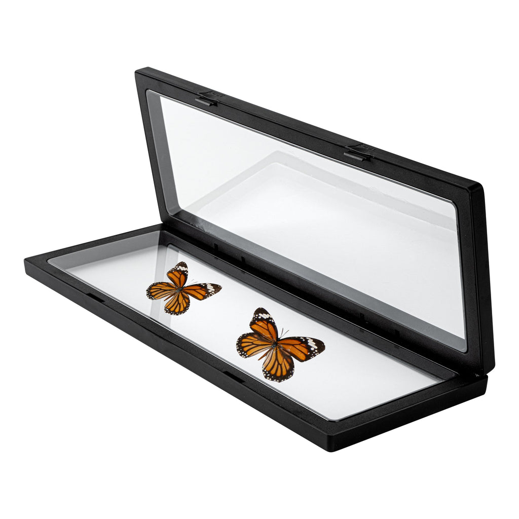 Display Tek Rectangle Black Plastic 3D Floating Display Case - 11 3/4" x 4 1/4" x 3/4" - 10 count box