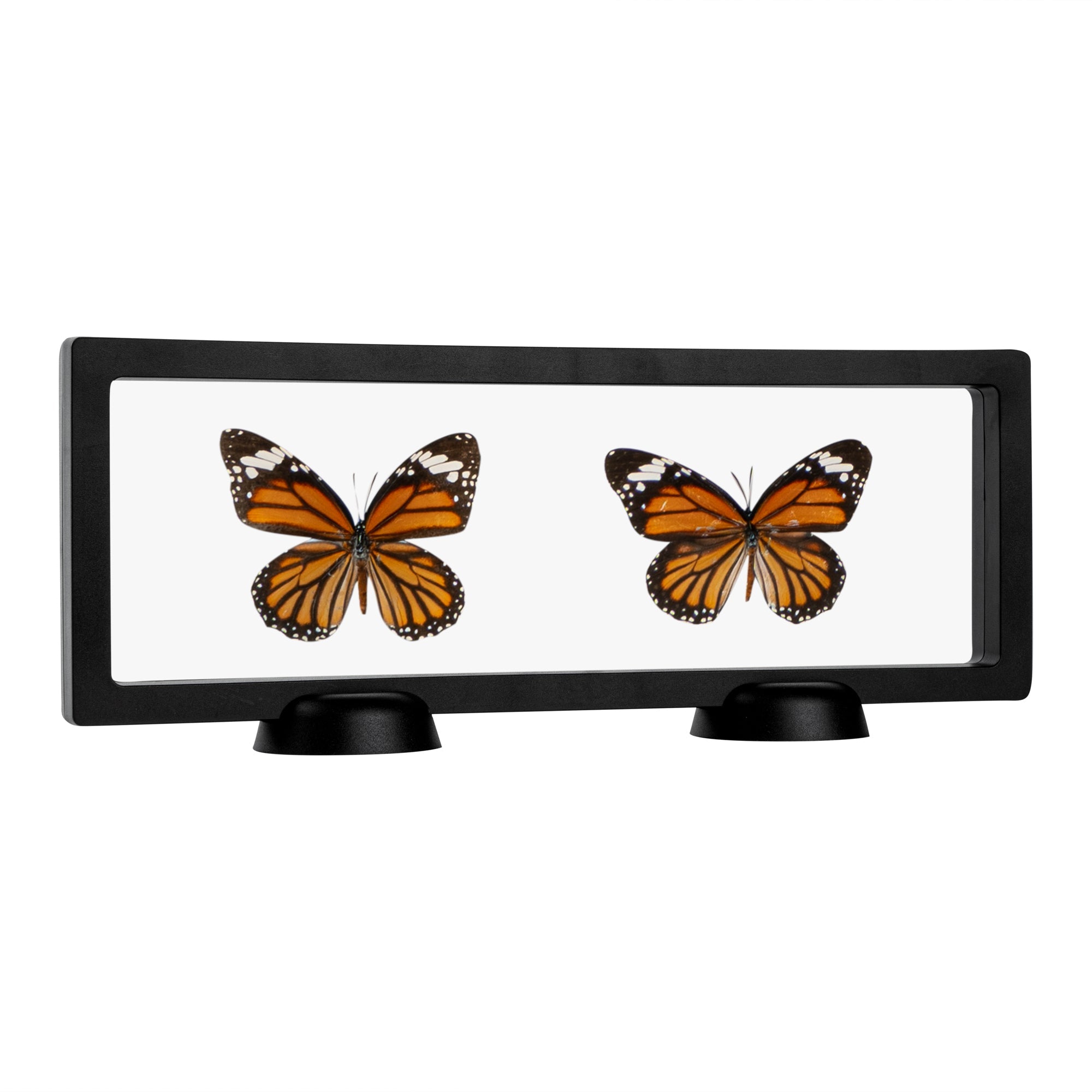Display Tek Rectangle Black Plastic 3D Floating Display Case - 11 3/4" x 4 1/4" x 3/4" - 10 count box