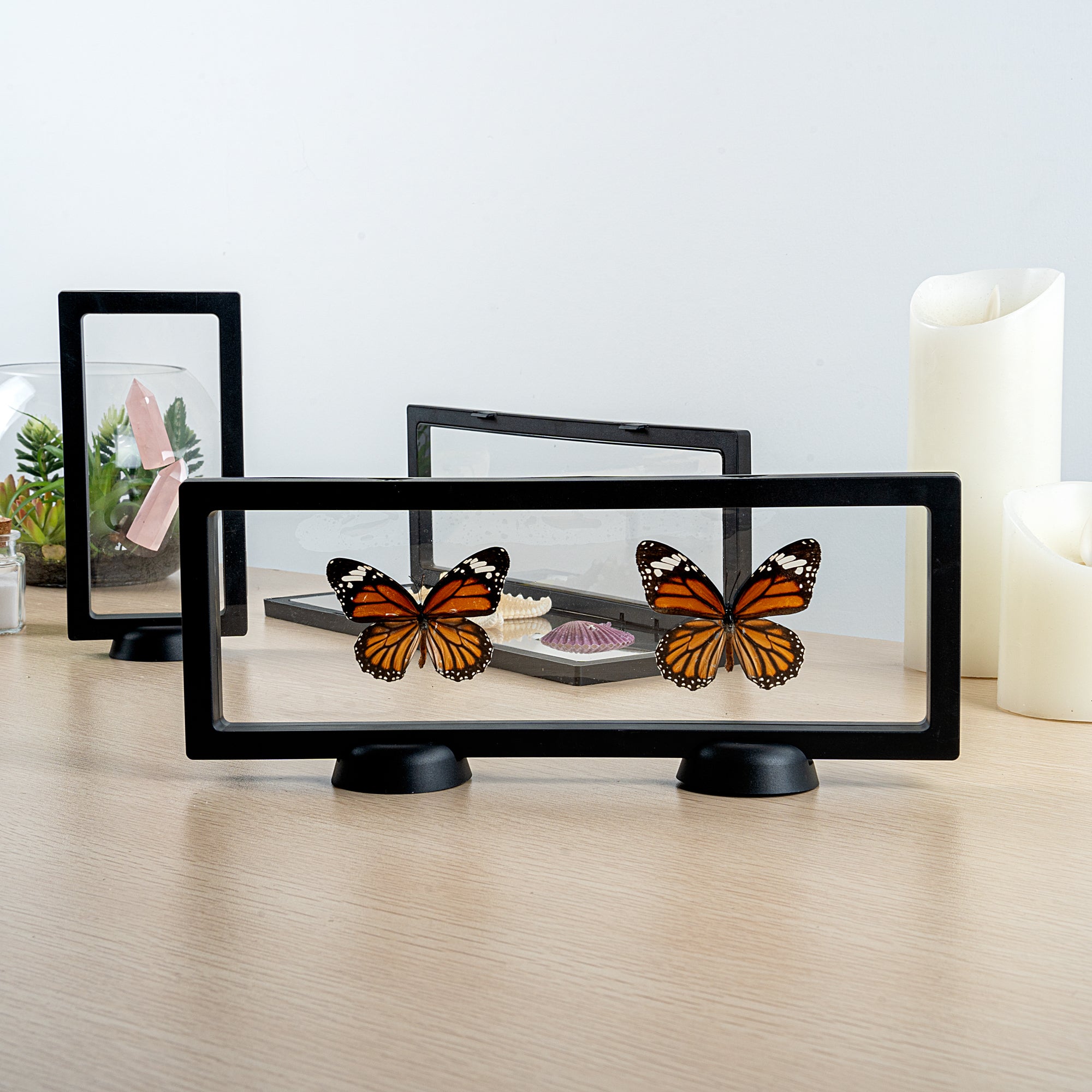 Display Tek Rectangle Black Plastic 3D Floating Display Case - 11 3/4" x 4 1/4" x 3/4" - 10 count box