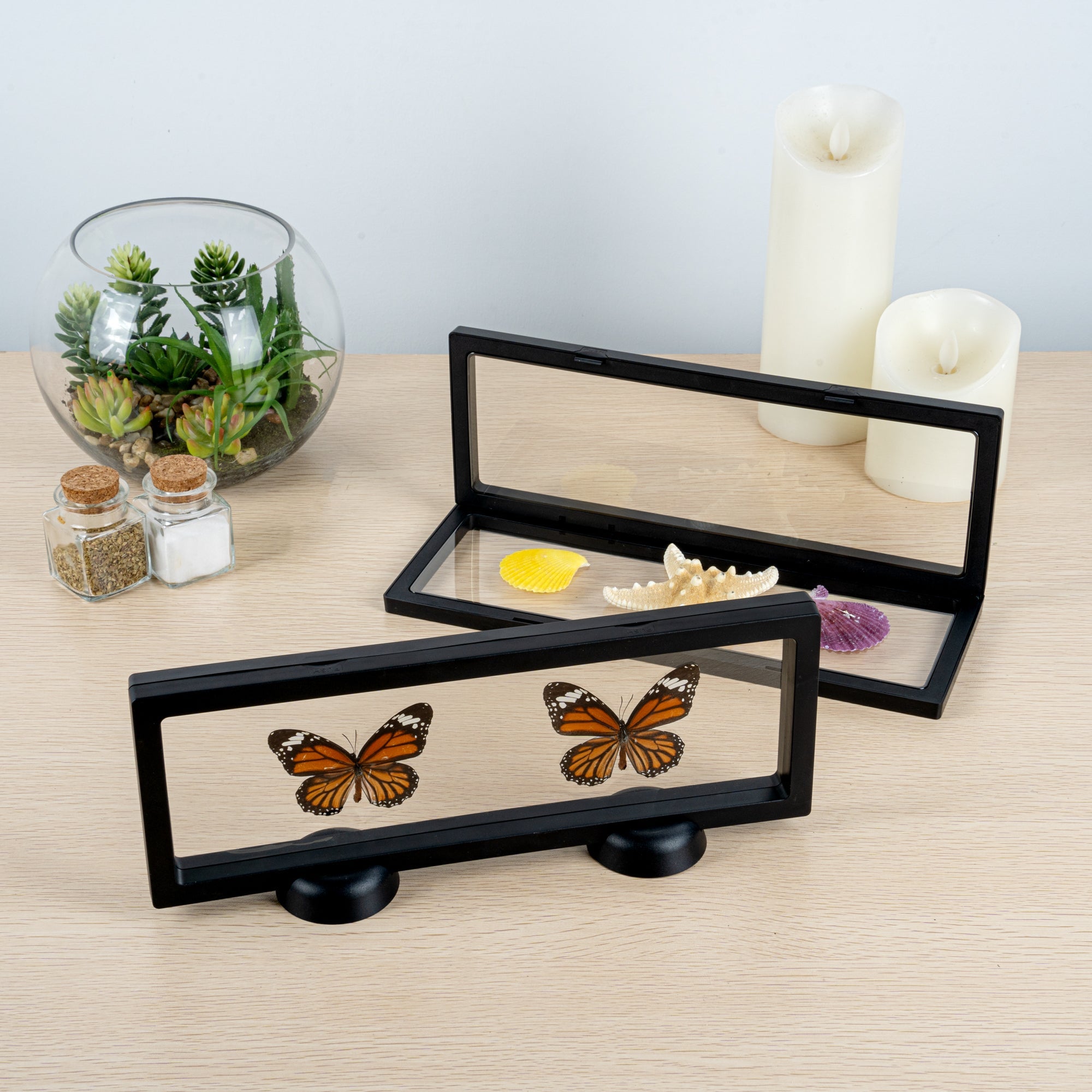 Display Tek Rectangle Black Plastic 3D Floating Display Case - 11 3/4" x 4 1/4" x 3/4" - 10 count box