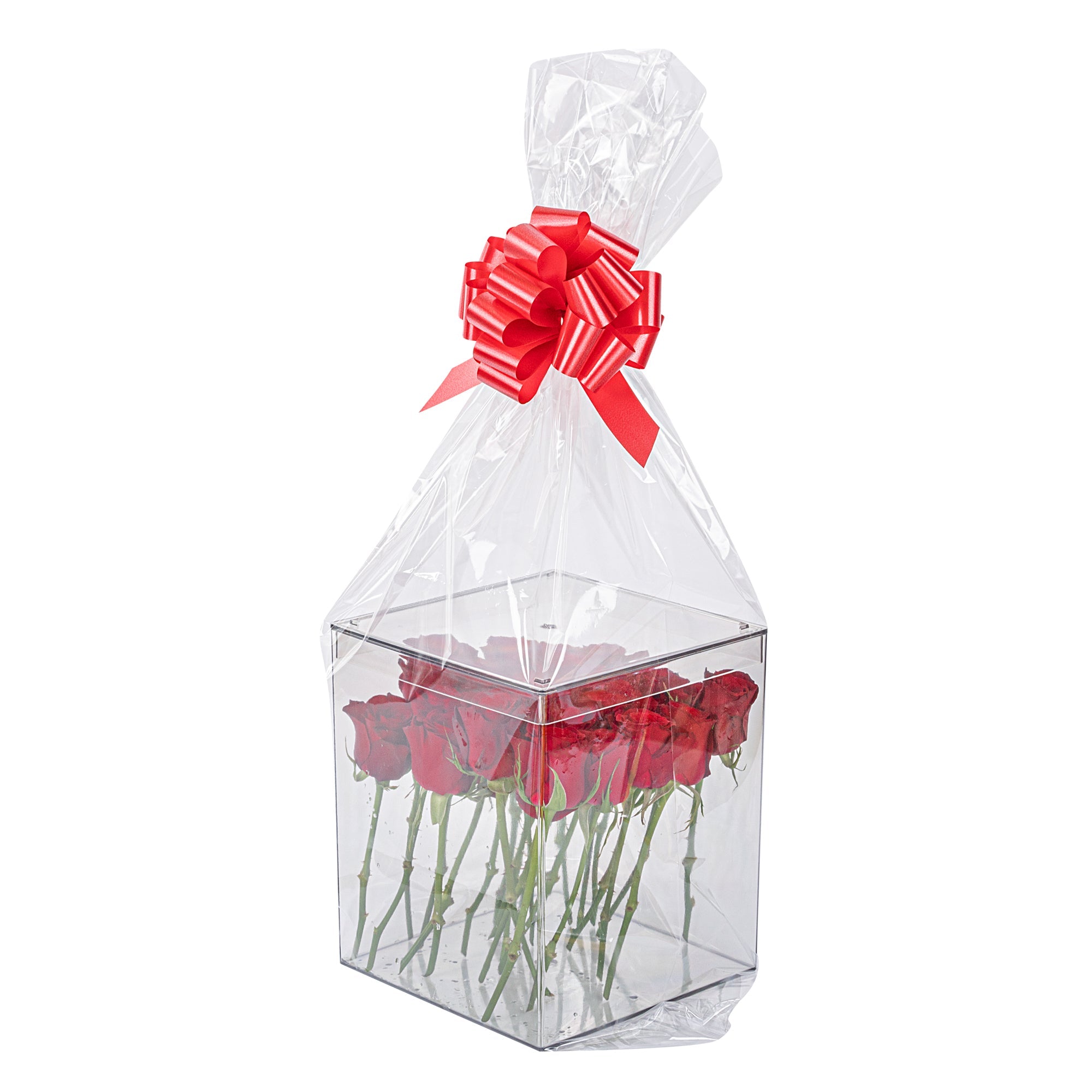 Bag Tek Clear Plastic Gift Bag - 18" x 30" - 10 count box