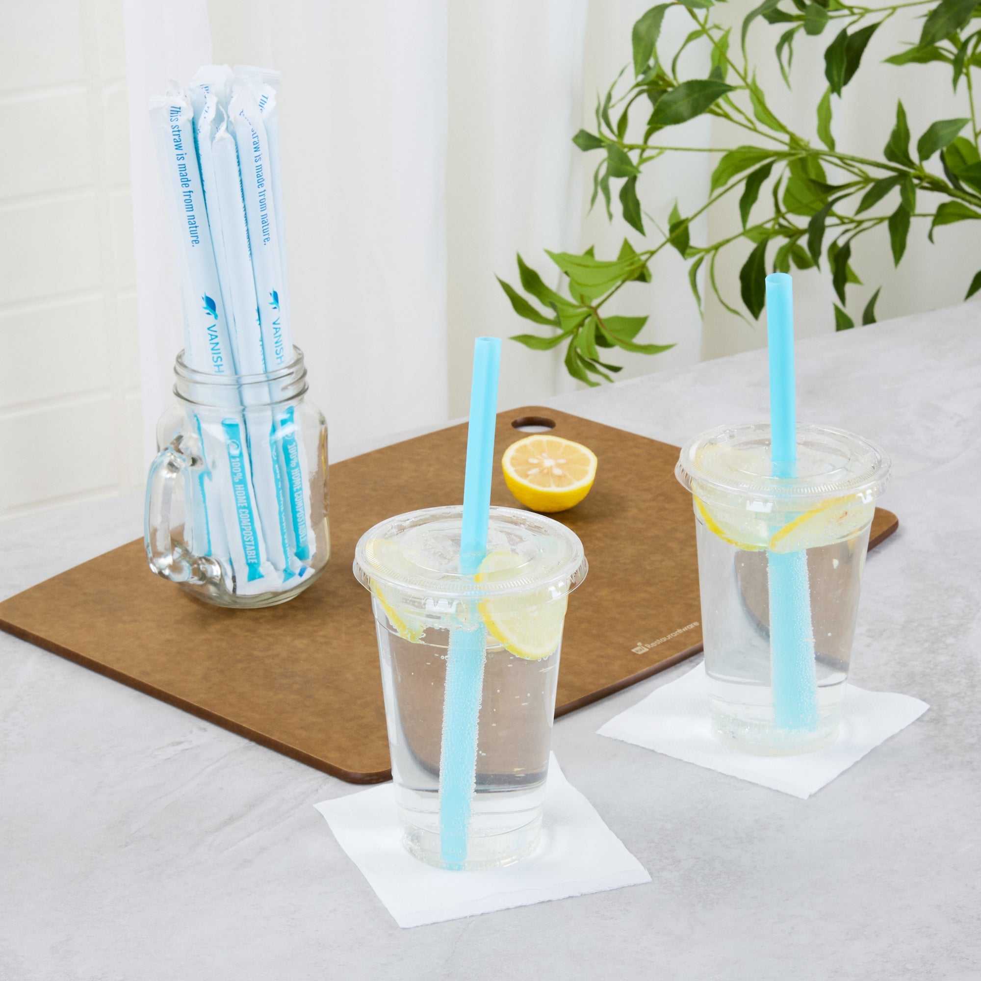 Vanish Blue PHA Plastic Straw - Wrapped, Compostable - 9" - 1000 count box