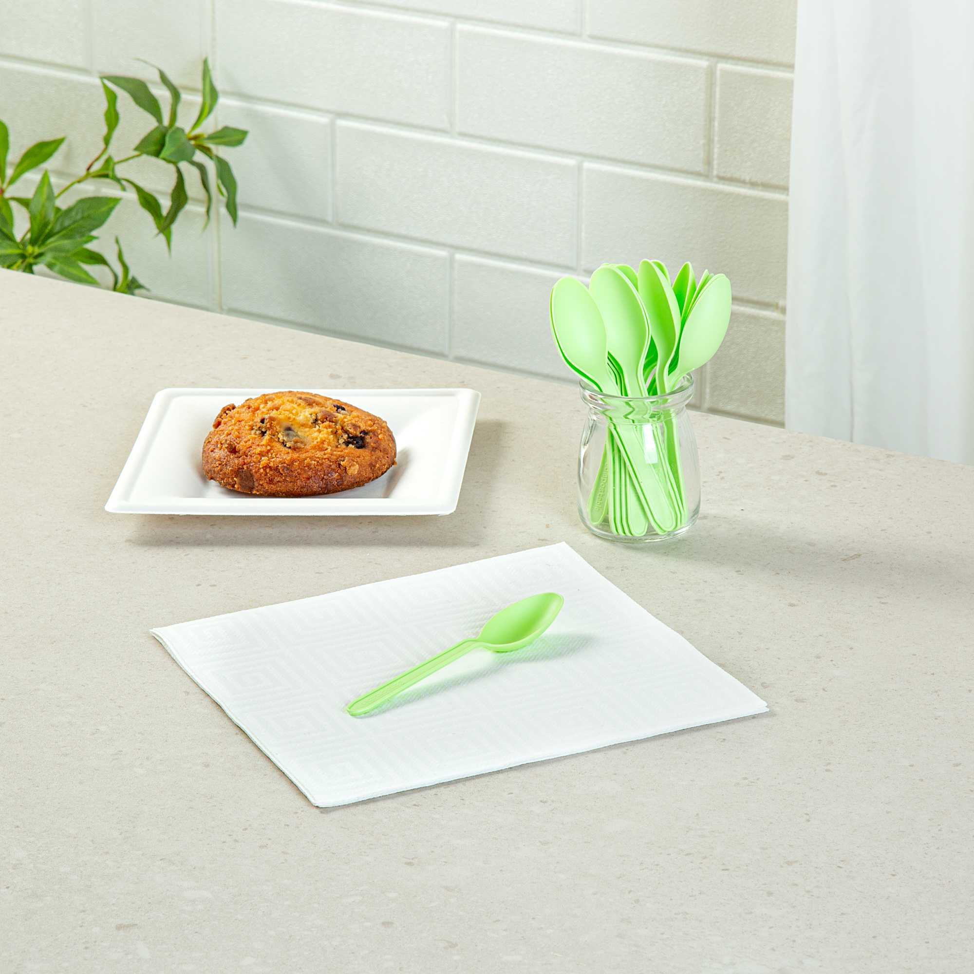 Basic Nature Green CPLA Plastic Dessert Spoon - Heat-Resistant, Compostable - 5" - 100 count box
