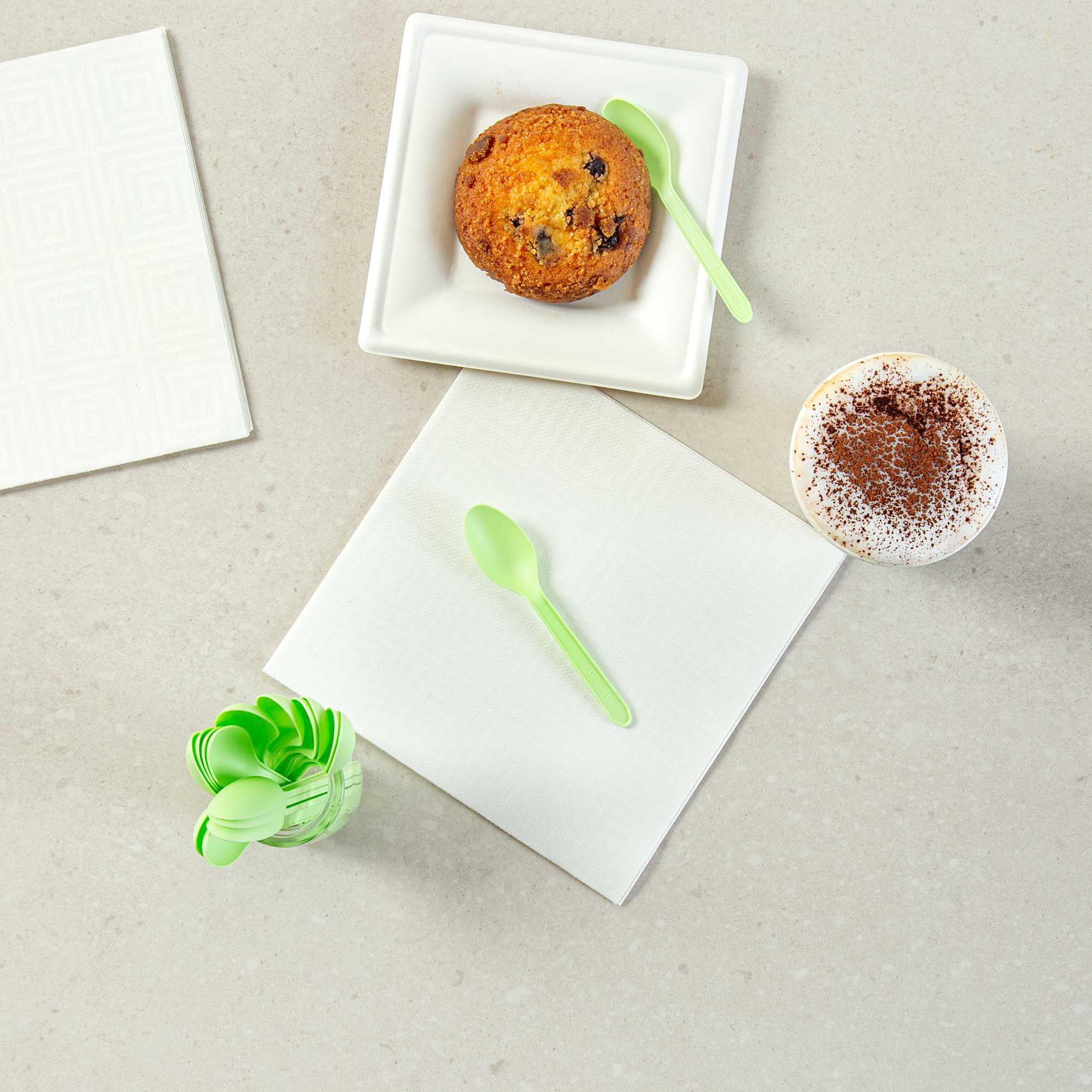 Basic Nature Green CPLA Plastic Dessert Spoon - Heat-Resistant, Compostable - 5" - 100 count box