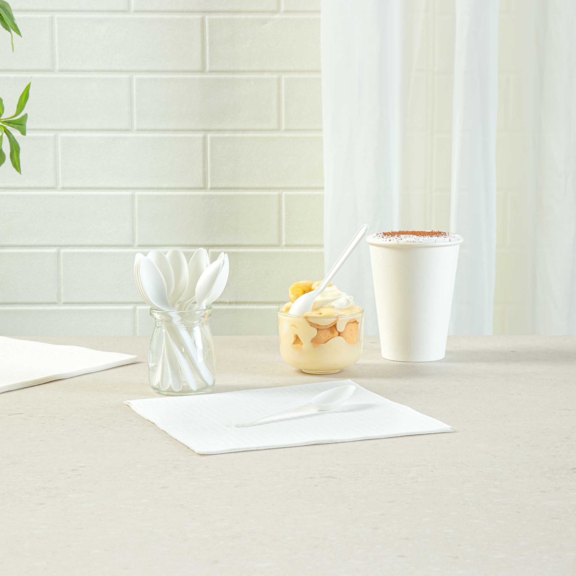 Basic Nature White CPLA Plastic Dessert Spoon - Heat-Resistant, Compostable - 5" - 100 count box