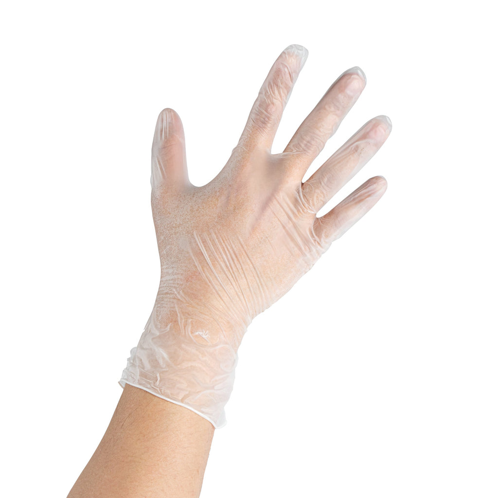 Serve Secure Clear Medium Vinyl Gloves - Powder-Free, Latex-Free - 9" x 3 3/4" - 1000 count box