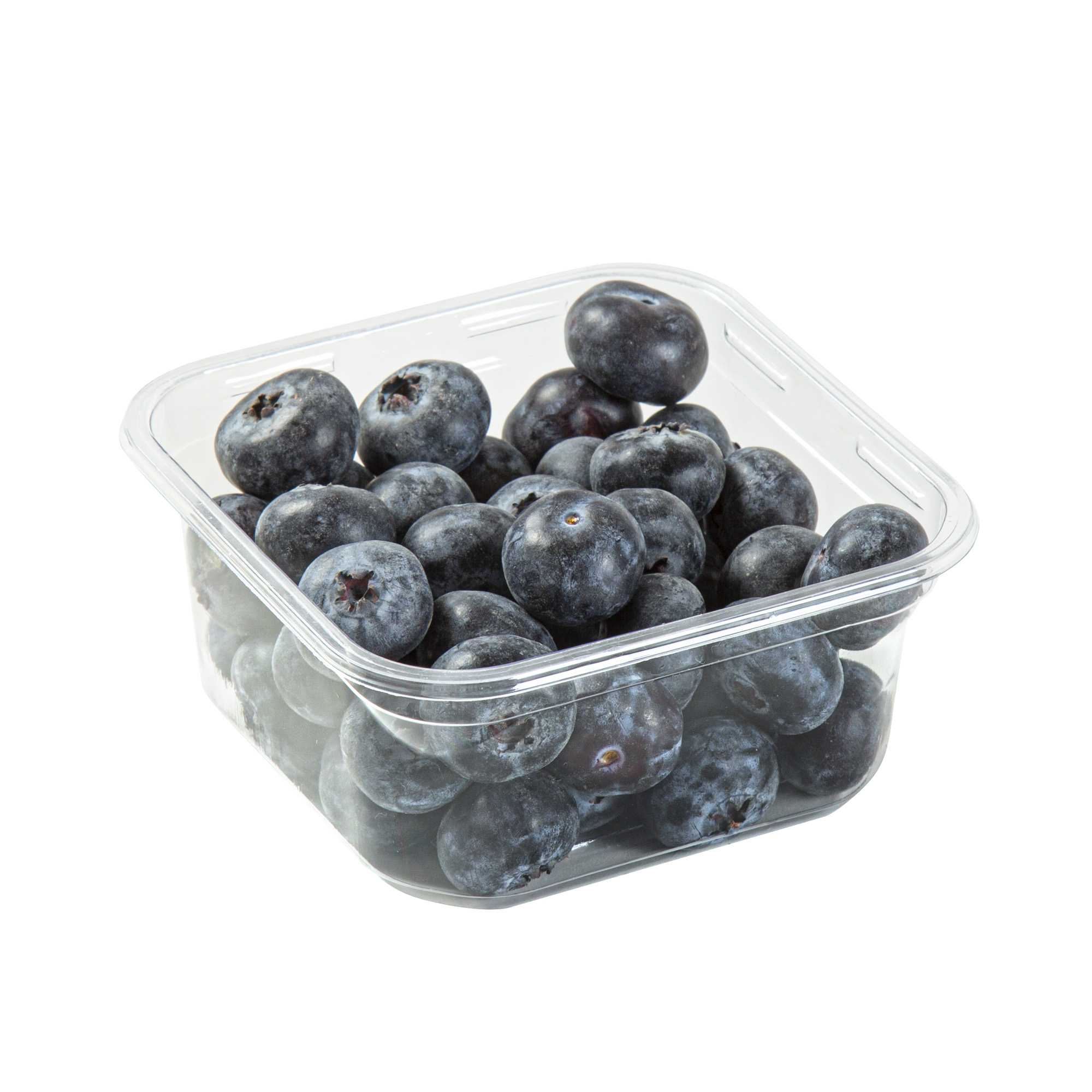 Thermo Tek 12 oz Square Clear Plastic Deli / Snack Container - 4 1/2" x 4 1/2" x 2" - 50 count box