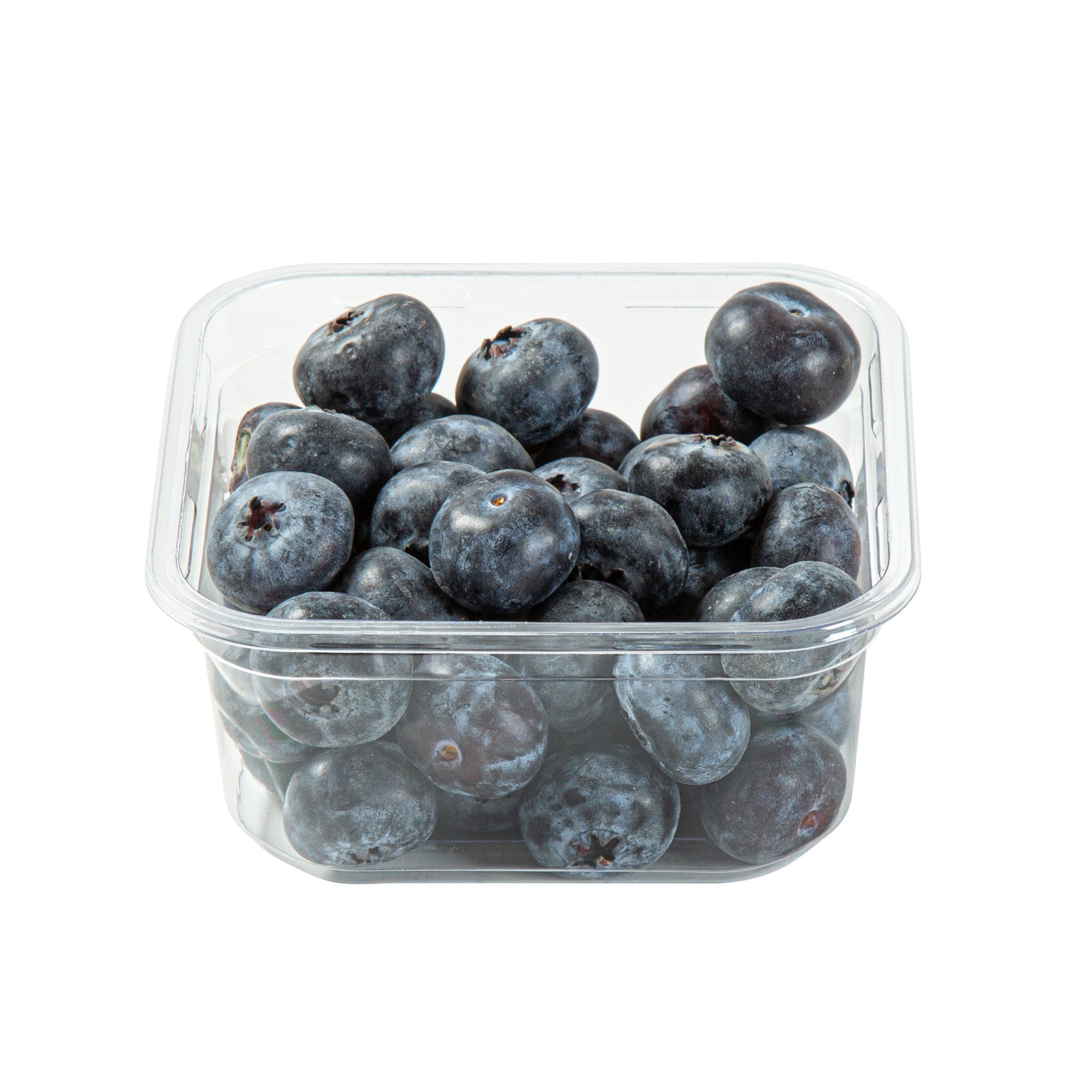 Thermo Tek 12 oz Square Clear Plastic Deli / Snack Container - 4 1/2" x 4 1/2" x 2" - 100 count box