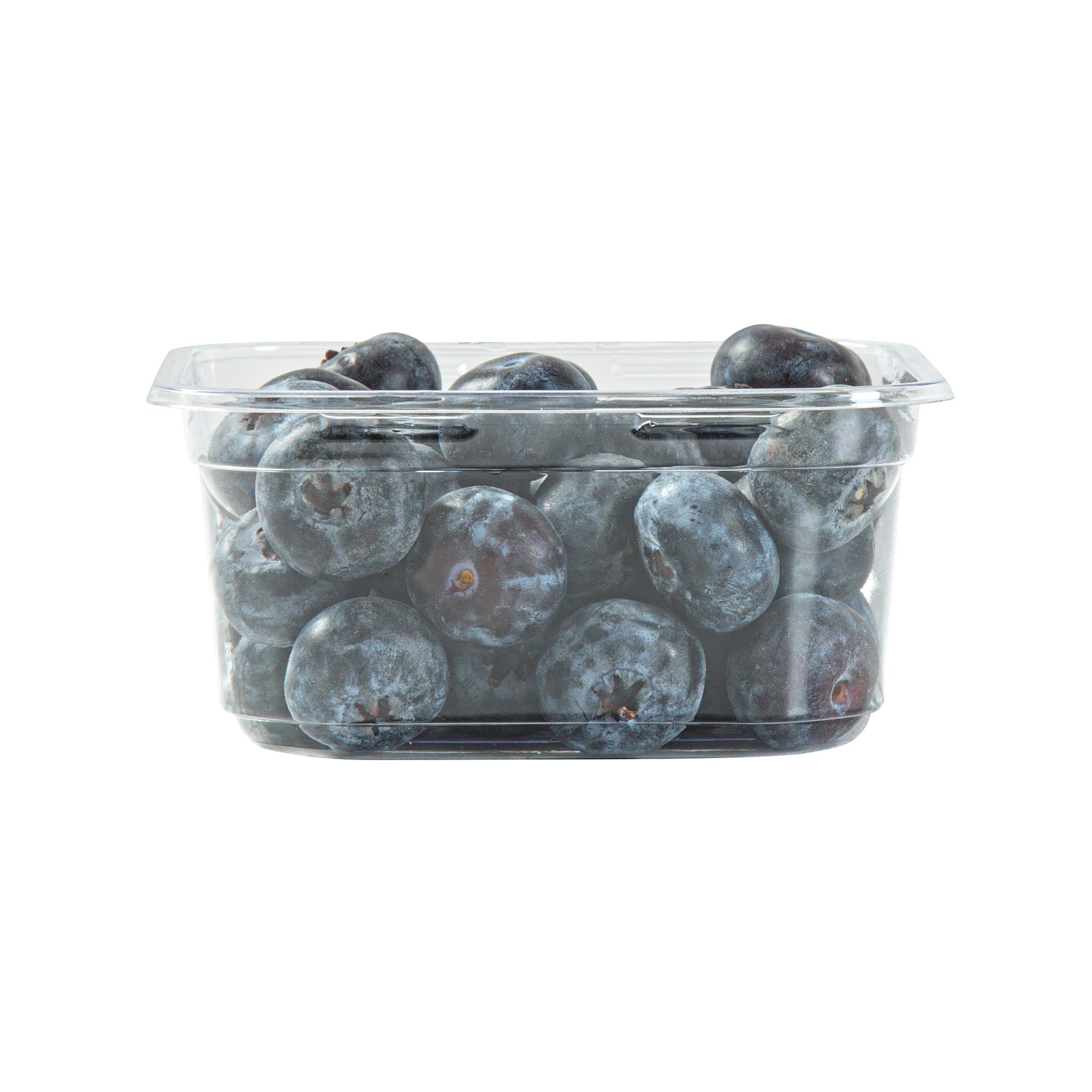 Thermo Tek 12 oz Square Clear Plastic Deli / Snack Container - 4 1/2" x 4 1/2" x 2" - 100 count box
