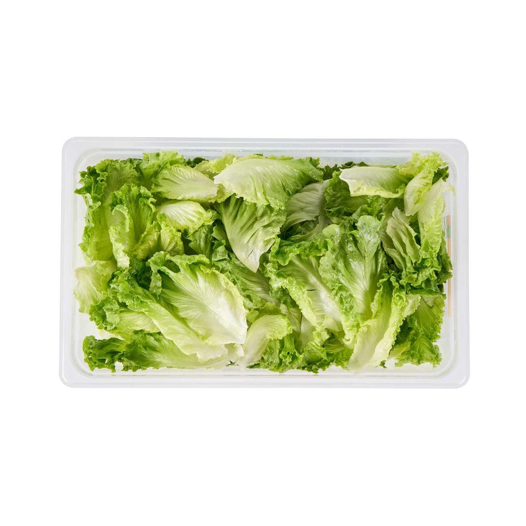 Met Lux Rectangle White Polypropylene Full Size Food Pan - 6" Deep, with Label - 1 count box
