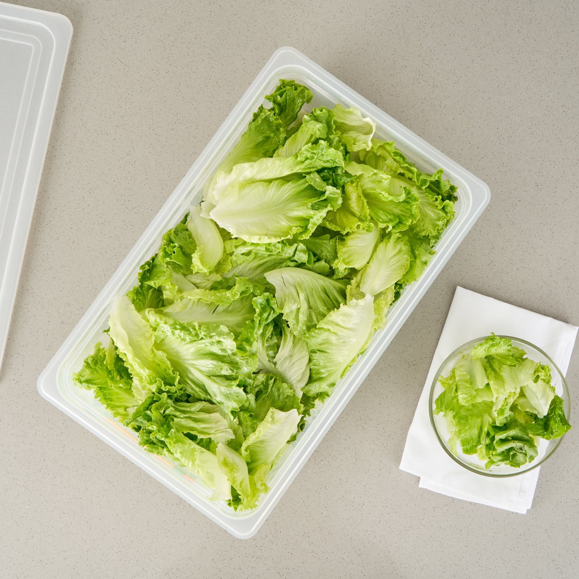 Met Lux Rectangle White Polypropylene Full Size Food Pan - 6" Deep, with Label - 10 count box