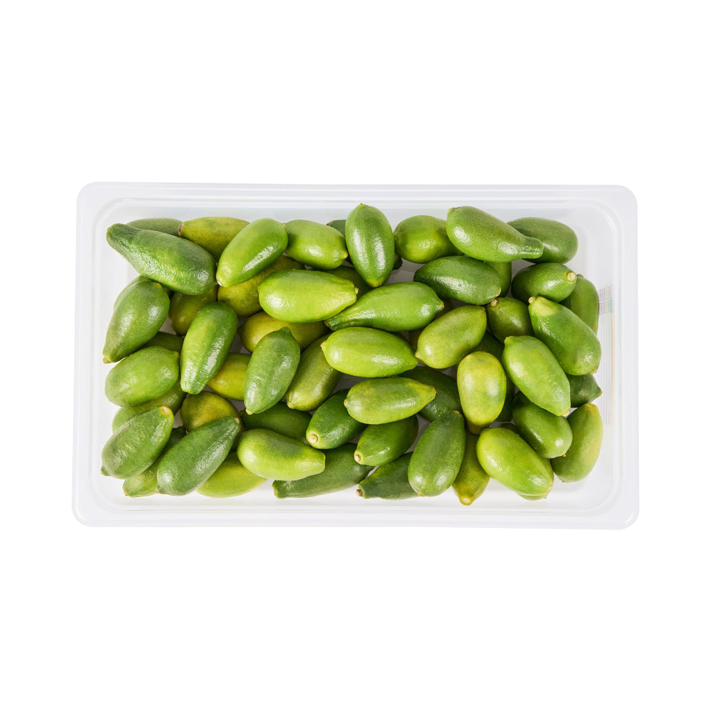 Met Lux Rectangle White Polypropylene Full Size Food Pan - 4" Deep, with Label - 10 count box