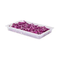 Met Lux Rectangle White Polypropylene Full Size Food Pan - 2.5" Deep, with Label - 1 count box