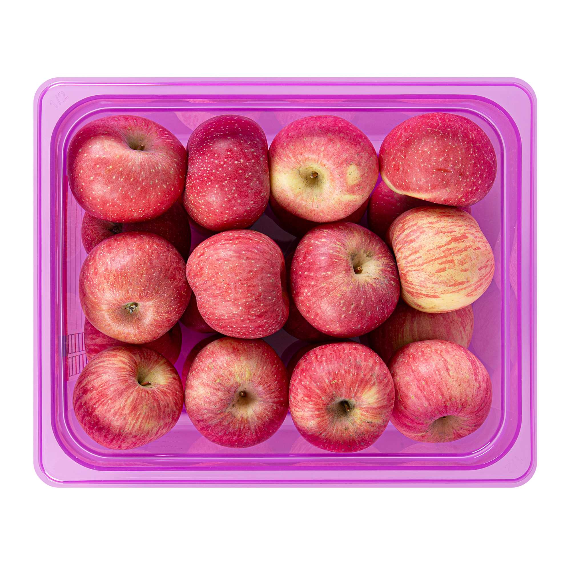 Met Lux Purple Allergen-Free Polypropylene Half Size Food Pan - 6" Deep, with Label - 10 count box