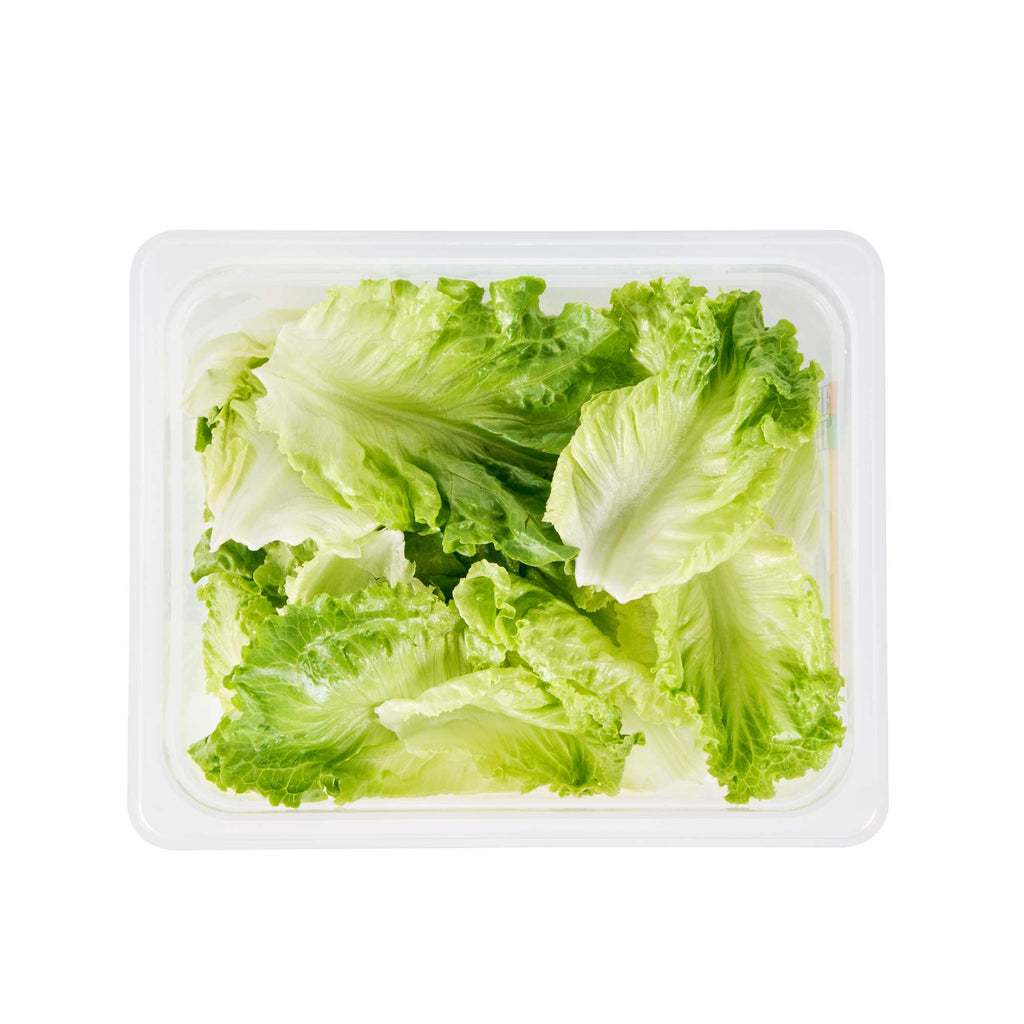 Met Lux Rectangle White Polypropylene Half Size Food Pan - 6" Deep, with Label - 1 count box
