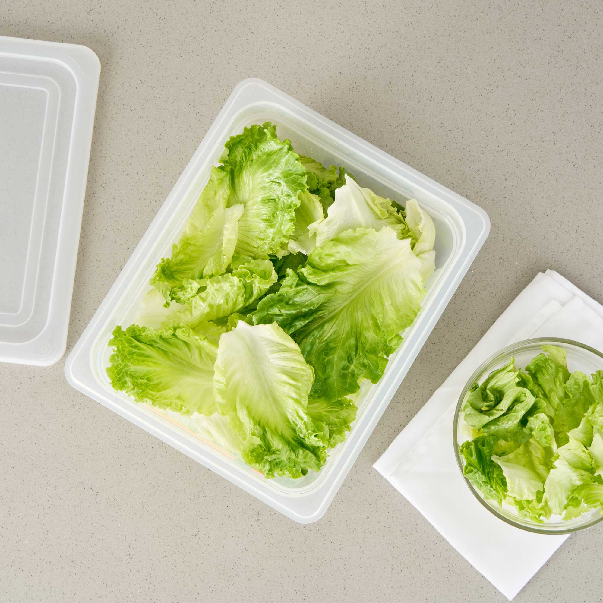 Met Lux Rectangle White Polypropylene Half Size Food Pan - 6" Deep, with Label - 1 count box