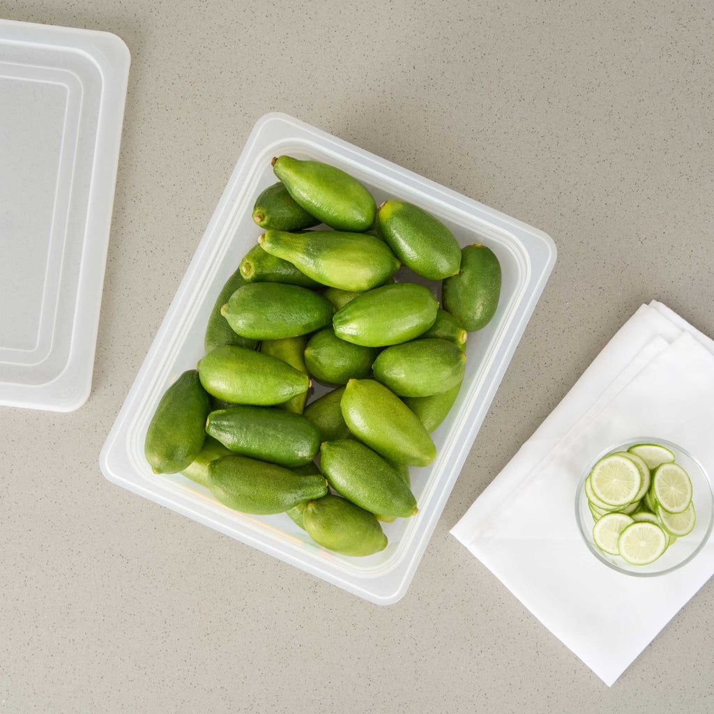 Met Lux Rectangle White Polypropylene Half Size Food Pan - 4" Deep, with Label - 1 count box