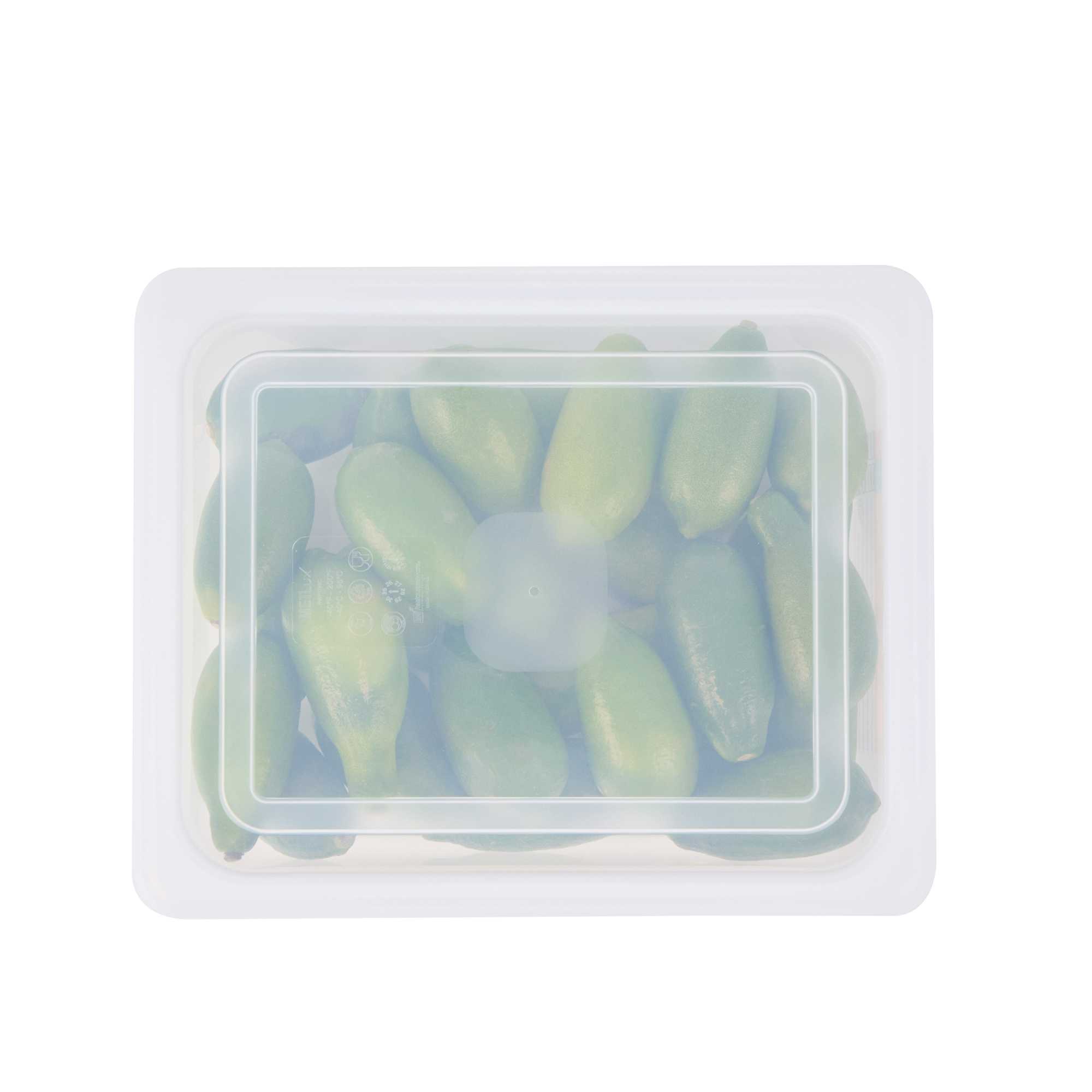 Met Lux Rectangle Clear Polypropylene Lid - Fits Half Size Pan - 12 3/4" x 10 1/2" - 1 count box