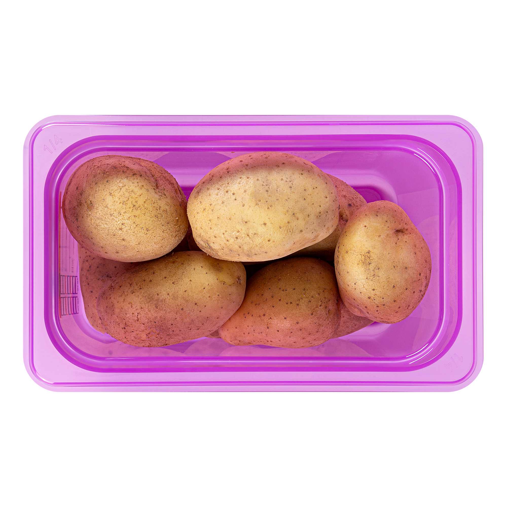 Met Lux Purple Allergen-Free Polypropylene 1/4 Size Food Pan - 6" Deep, with Label - 1 count box