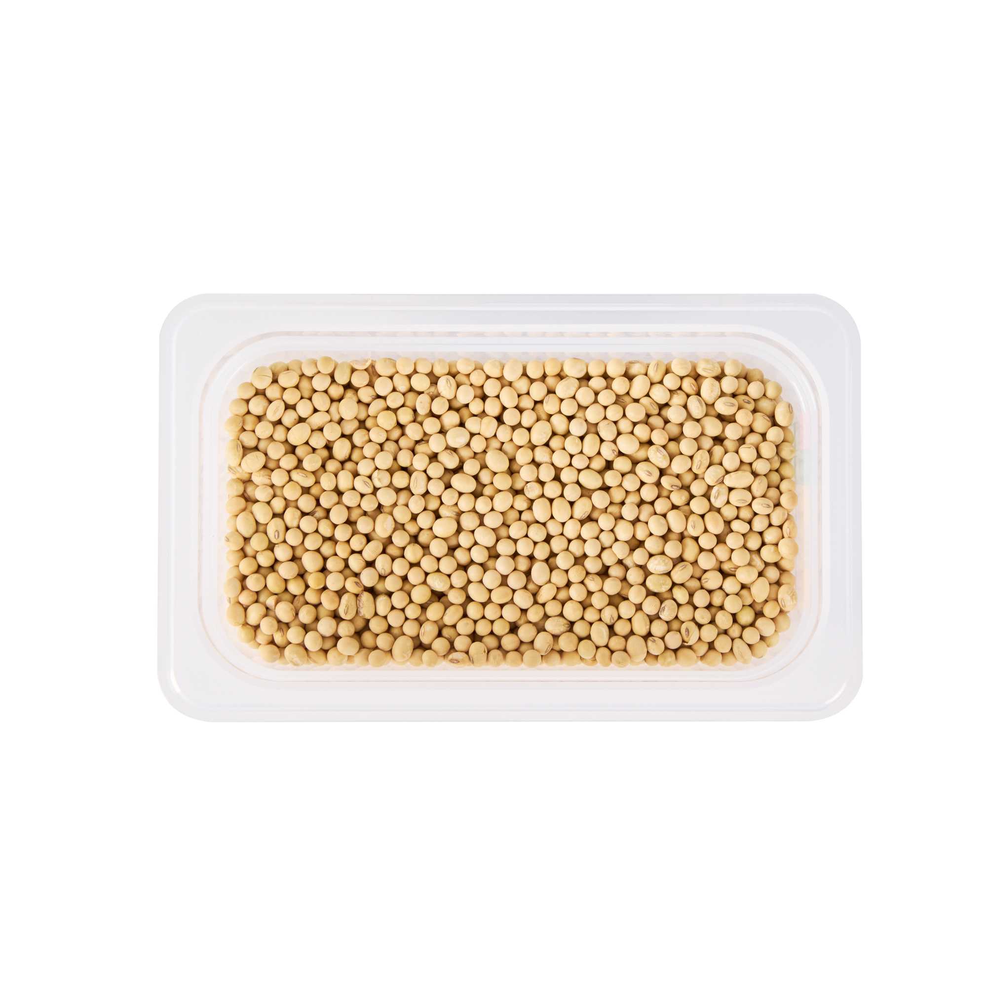 Met Lux Rectangle White Polypropylene 1/4 Size Food Pan - 6" Deep, with Label - 1 count box