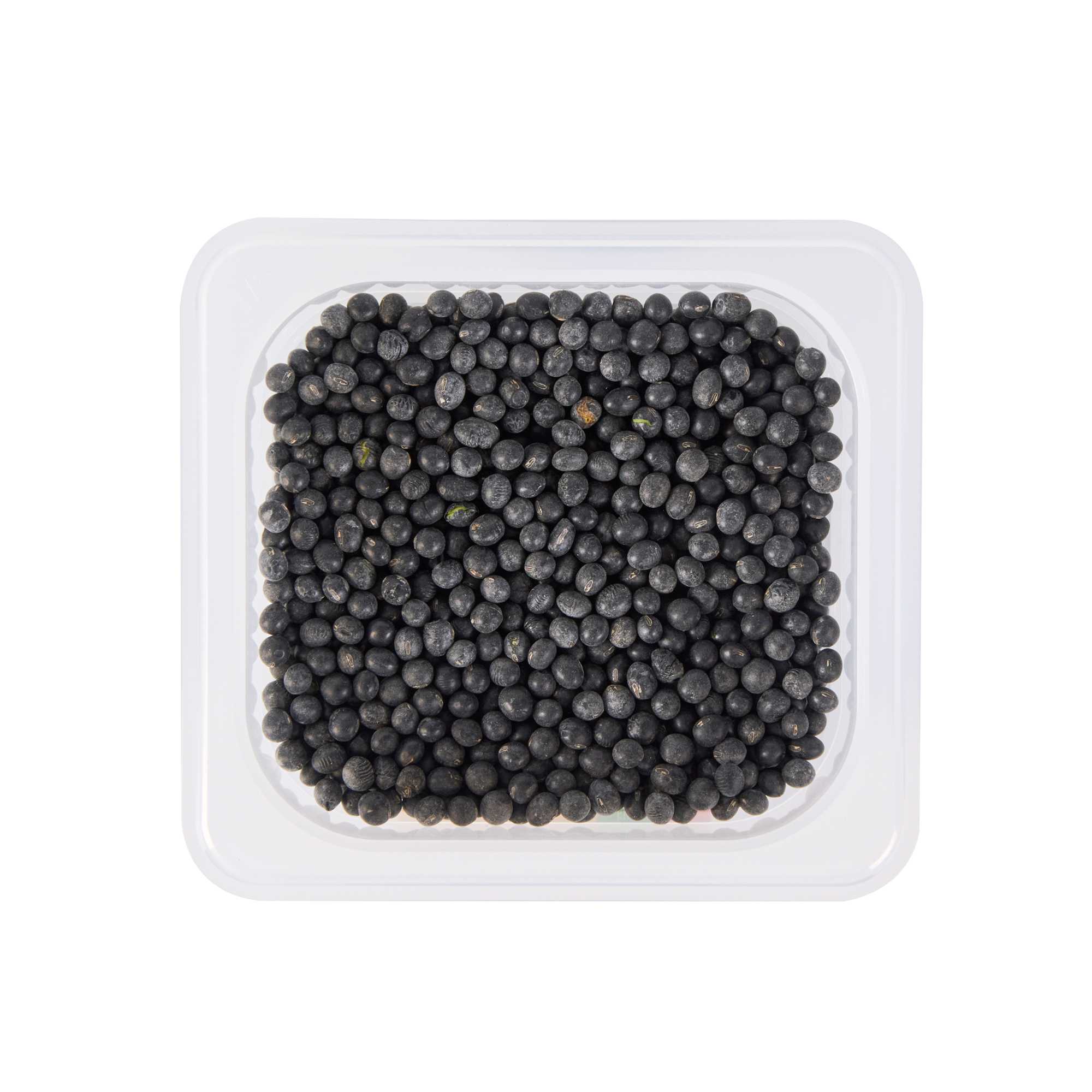 Met Lux Square White Polypropylene 1/6 Size Food Pan - 6" Deep, with Label - 6 3/4" x 6 1/4" x 6" - 1 count box