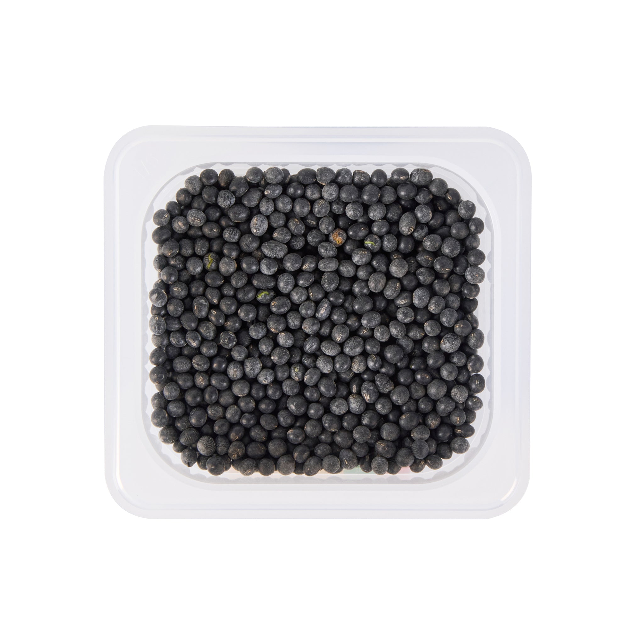 Met Lux Square White Polypropylene 1/6 Size Food Pan - 6" Deep, with Label - 6 3/4" x 6 1/4" x 6" - 10 count box