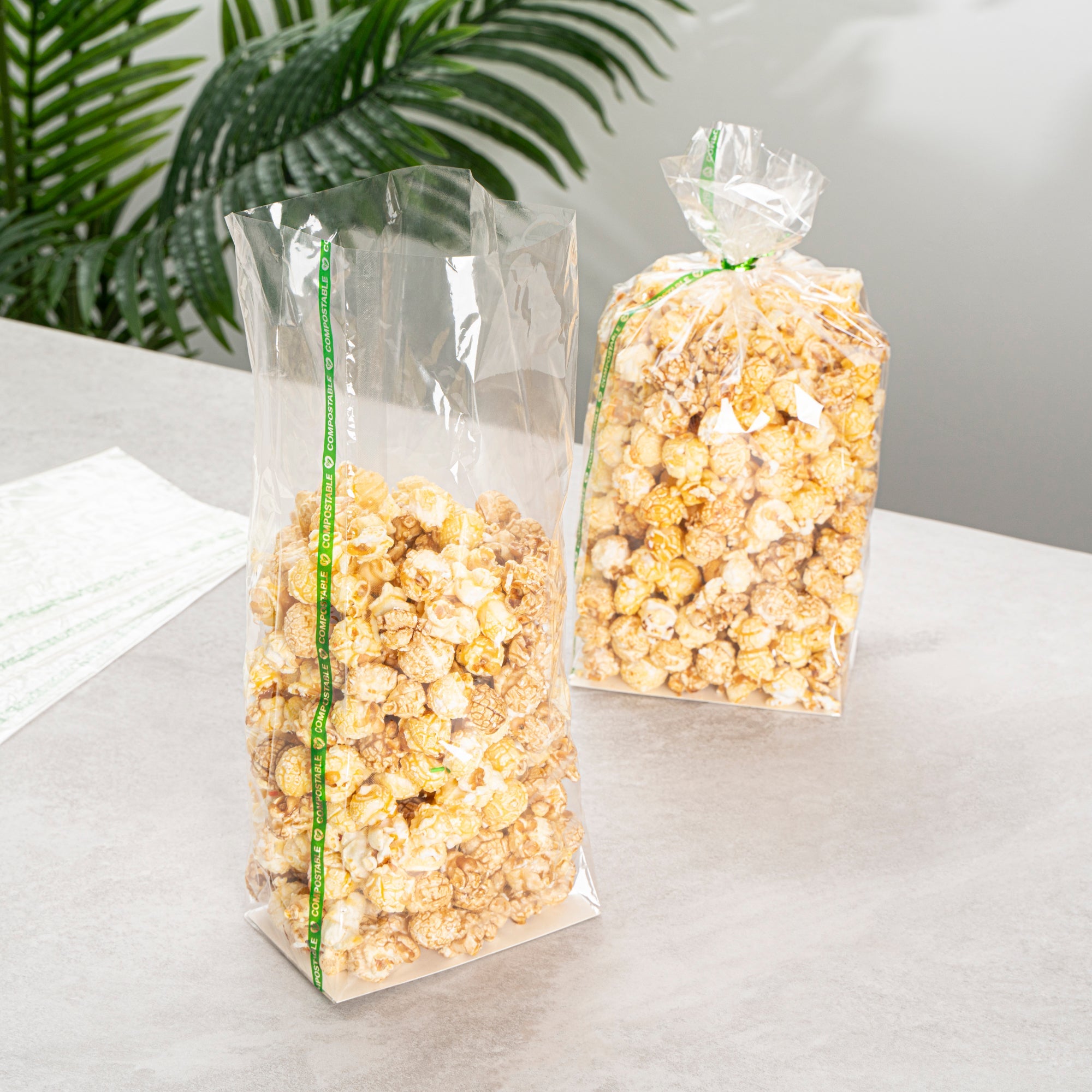 Basic Nature Clear Plastic Gusset Bag - Compostable, Paper Insert, Heat Sealable - 5" x 3" x 12" - 100 count box
