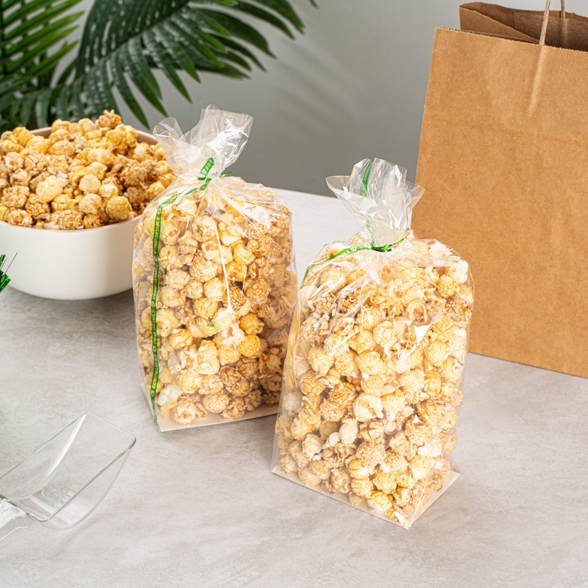 Basic Nature Clear Plastic Gusset Bag - Compostable, Paper Insert, Heat Sealable - 5" x 3" x 12" - 100 count box