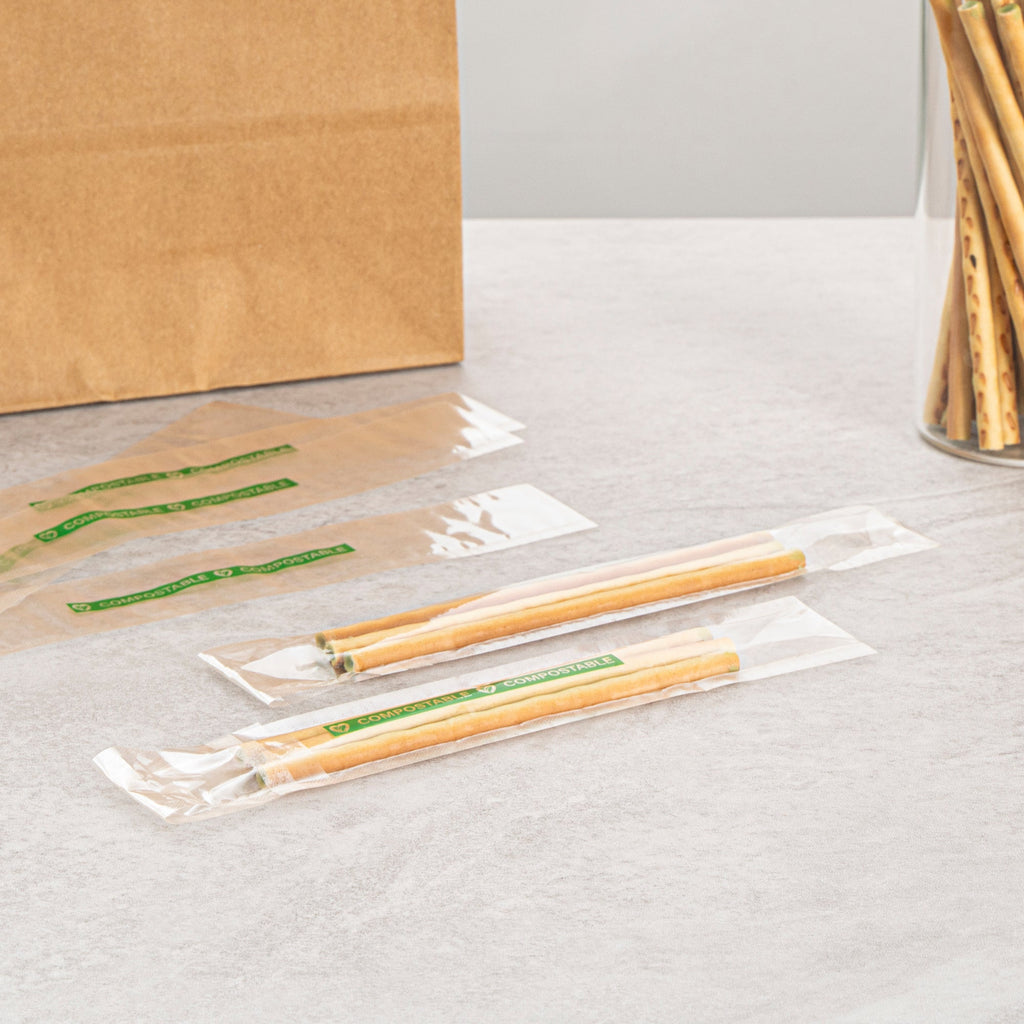 Basic Nature Clear Plastic Bag - with Flap, Home Compostable, High Clarity, Heat Sealable - 8" x 1" - 100 count box
