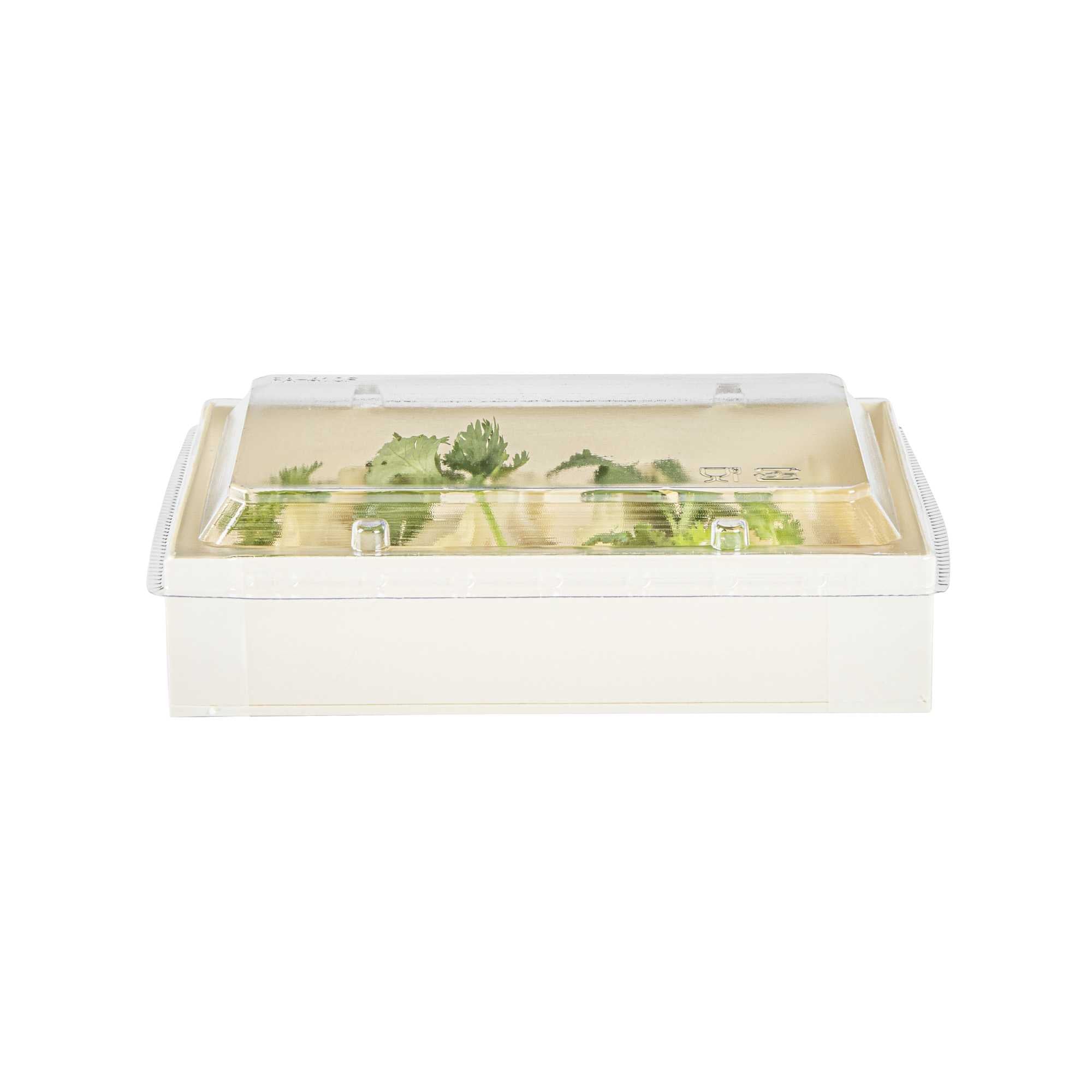 Taipei Rectangle Clear Plastic Lid - Fits 25 oz Bento Box - 10 count box