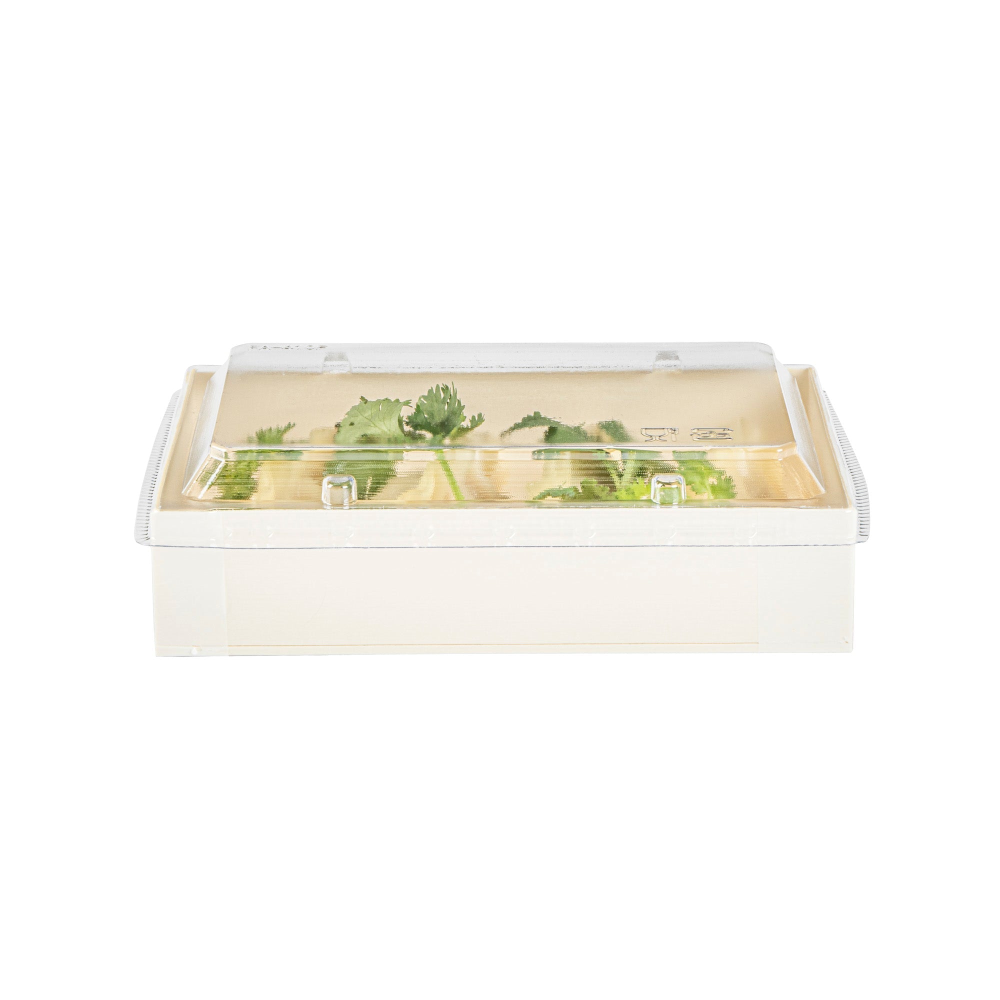 Taipei Rectangle Clear Plastic Lid - Fits 25 oz Bento Box - 100 count box