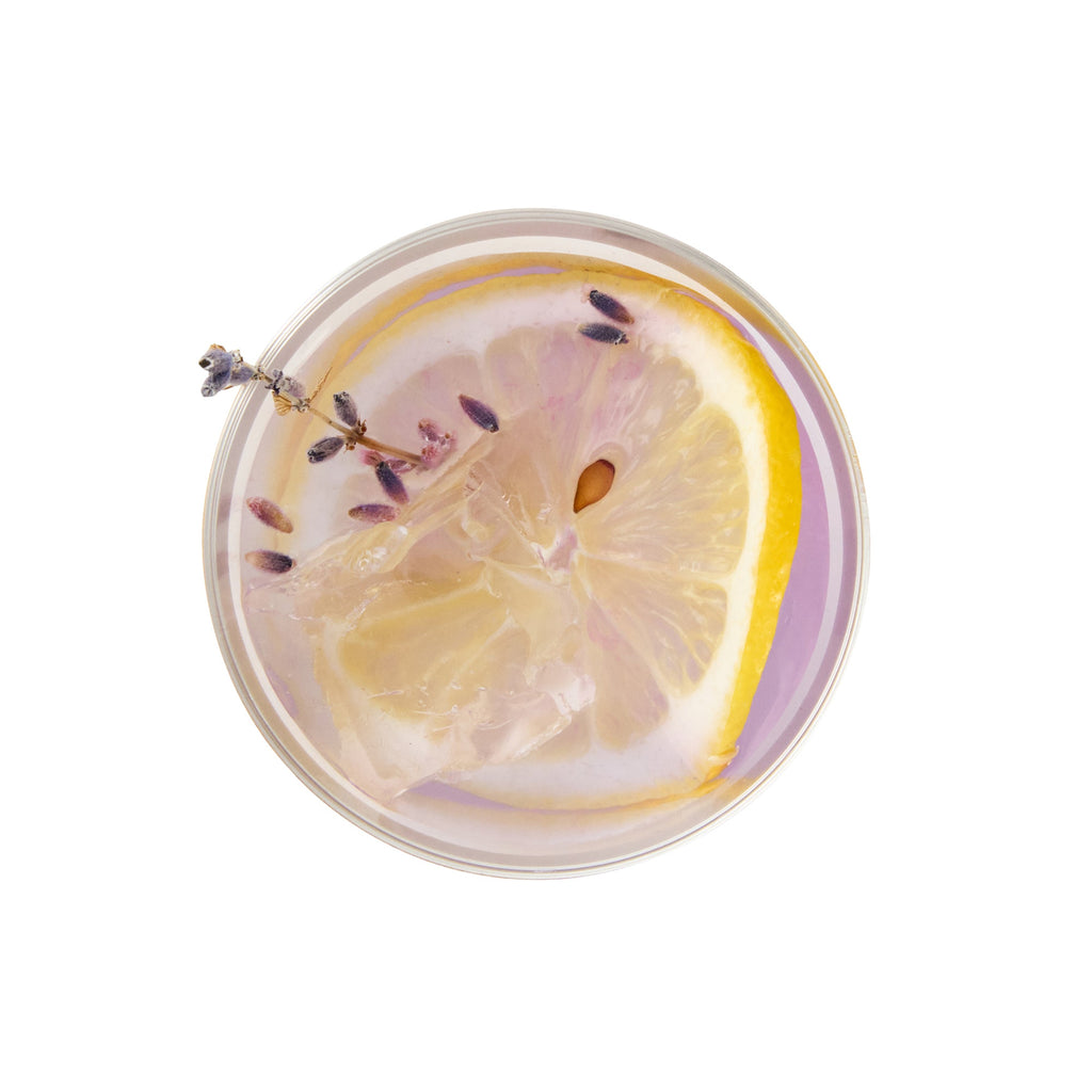 Chef 101 5 oz Clear Plastic Tumbler - with Gold Rim - 2 3/4" x 2 3/4" x 2 1/4" - 20 count box